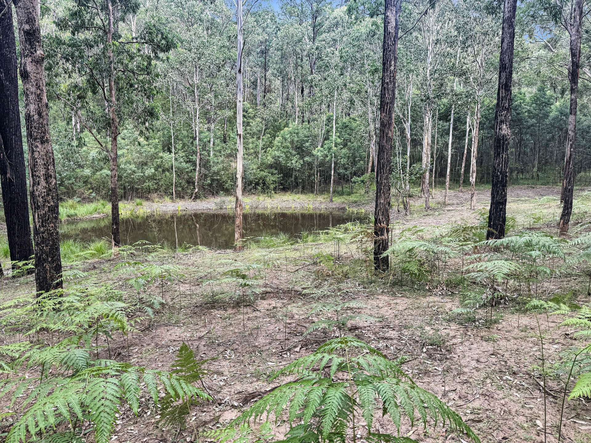 112 Finchley Track, Laguna For Sale by Farmbuy.com - image 5