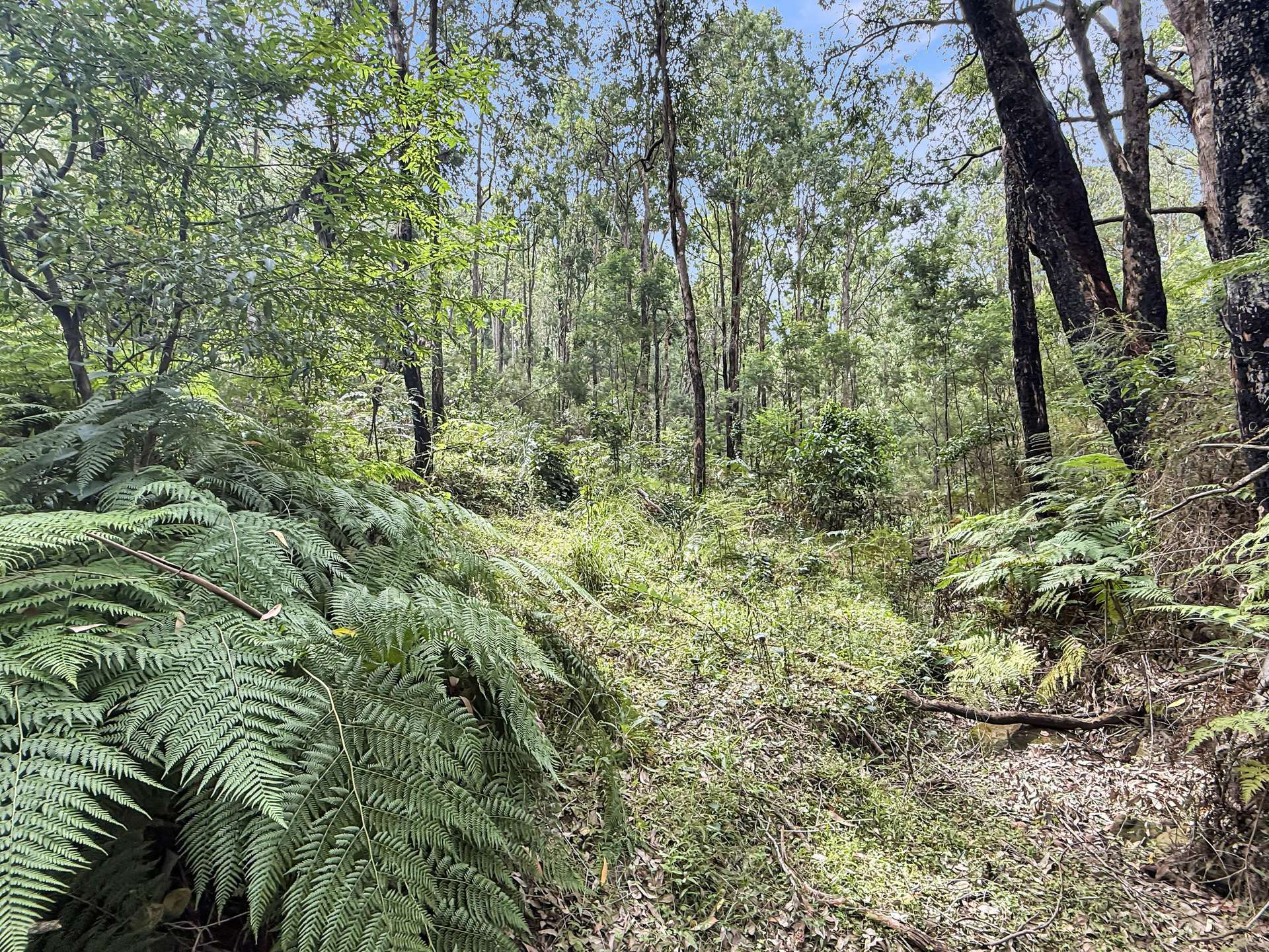 112 Finchley Track, Laguna For Sale by Farmbuy.com - image 10