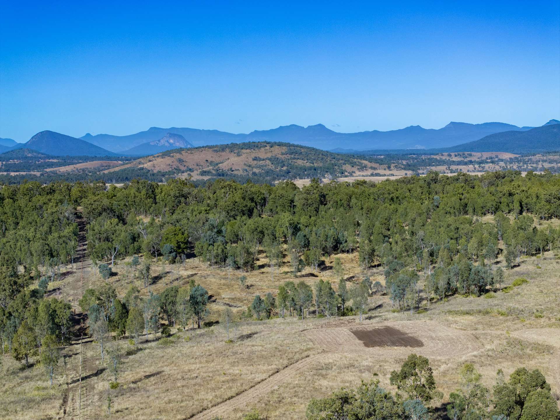 2584E Rosewood-Warrill View Road, Coleyville For Sale by Farmbuy.com - image 6