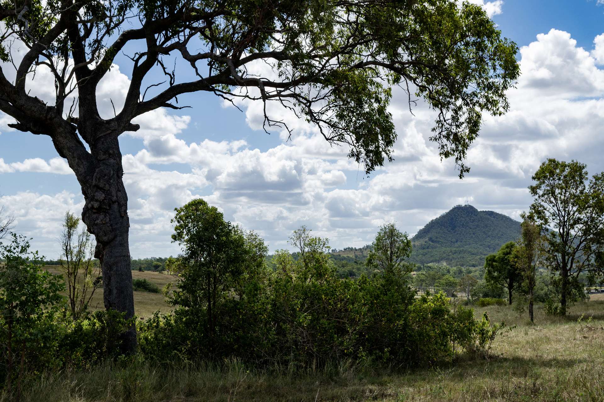 2584 Rosewood-Warrill View Road, Coleyville For Sale by Farmbuy.com - image 8