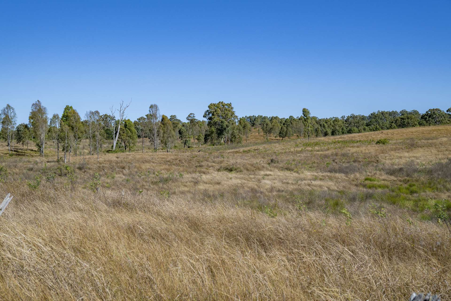 2584E Rosewood-Warrill View Road, Coleyville For Sale by Farmbuy.com - image 15