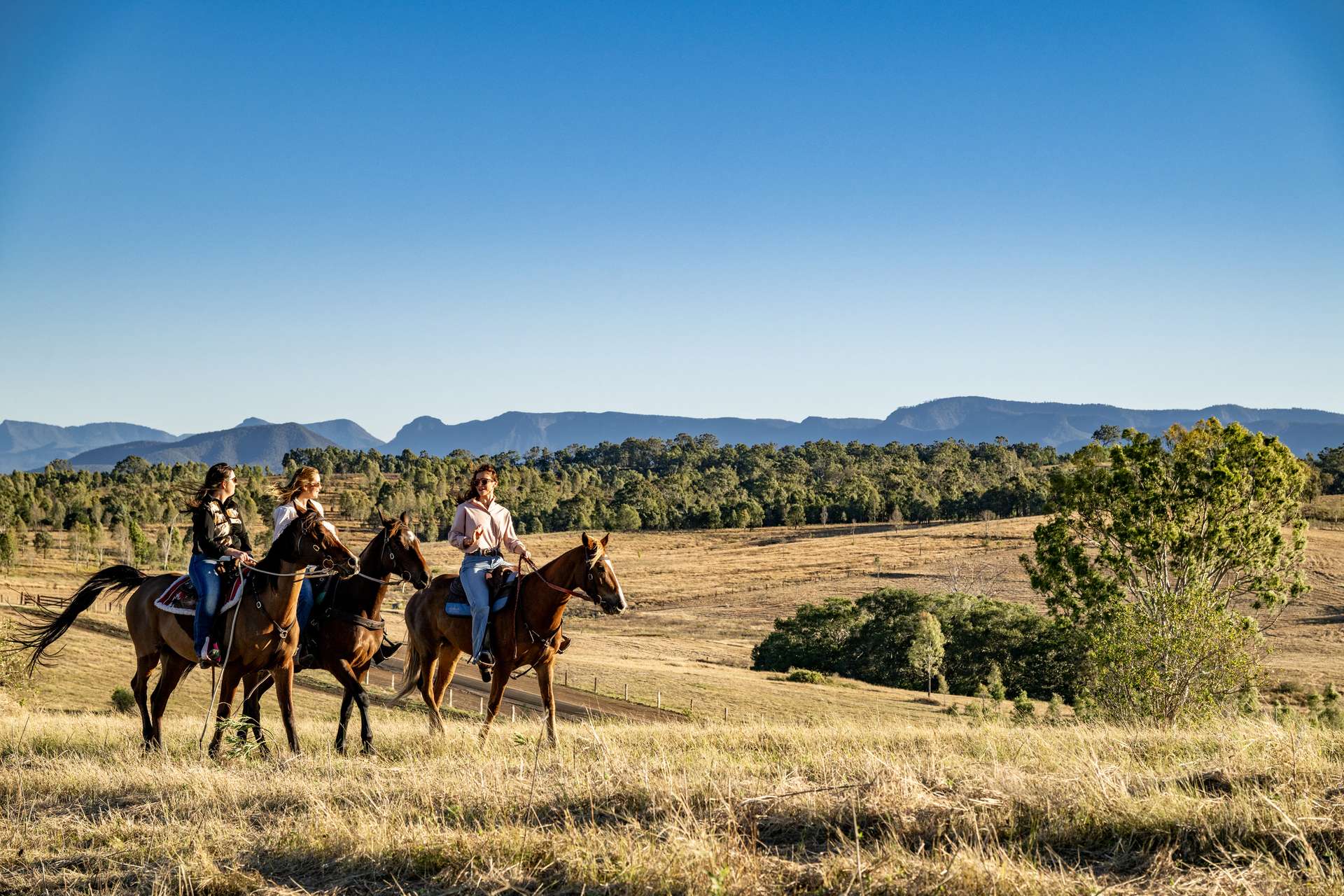 2584E Rosewood-Warrill View Road, Coleyville For Sale by Farmbuy.com - image 2