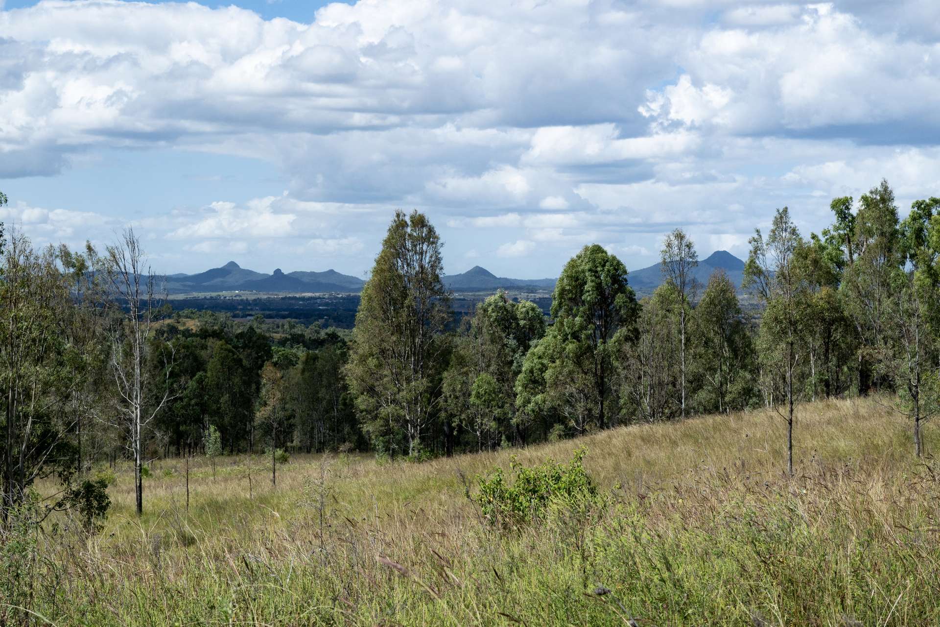 2584 Rosewood-Warrill View Road, Coleyville For Sale by Farmbuy.com - image 11