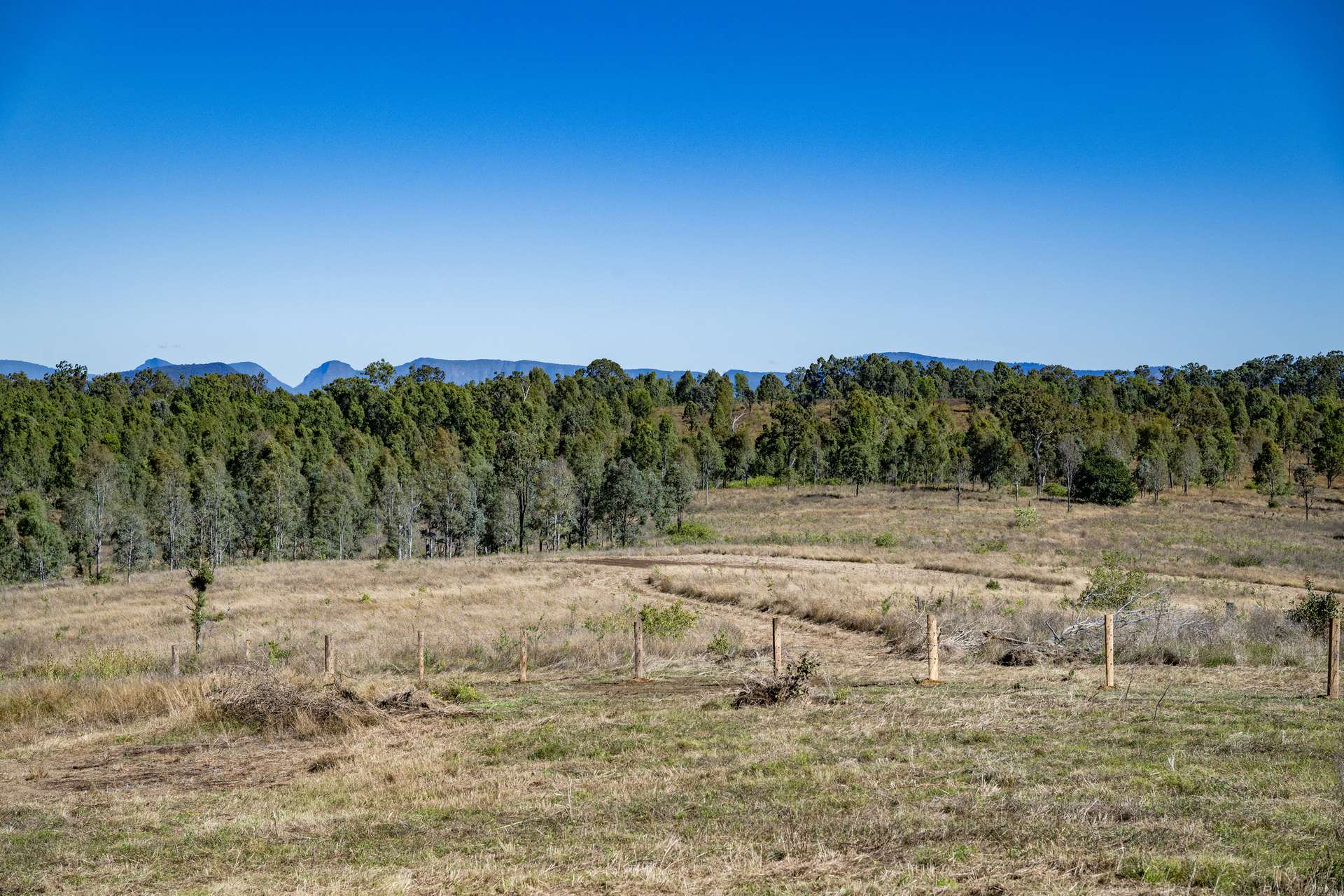 2584E Rosewood-Warrill View Road, Coleyville For Sale by Farmbuy.com - image 12