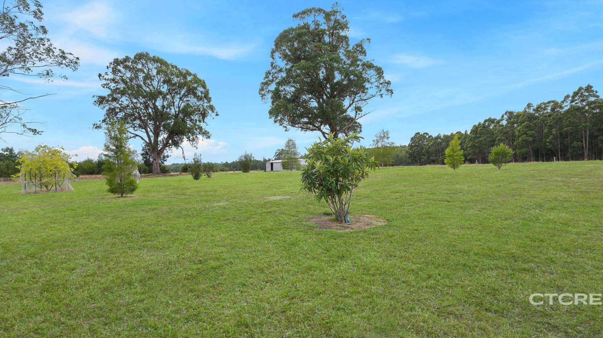177 Tamboon Road, Cann River For Sale by Farmbuy.com - image 9