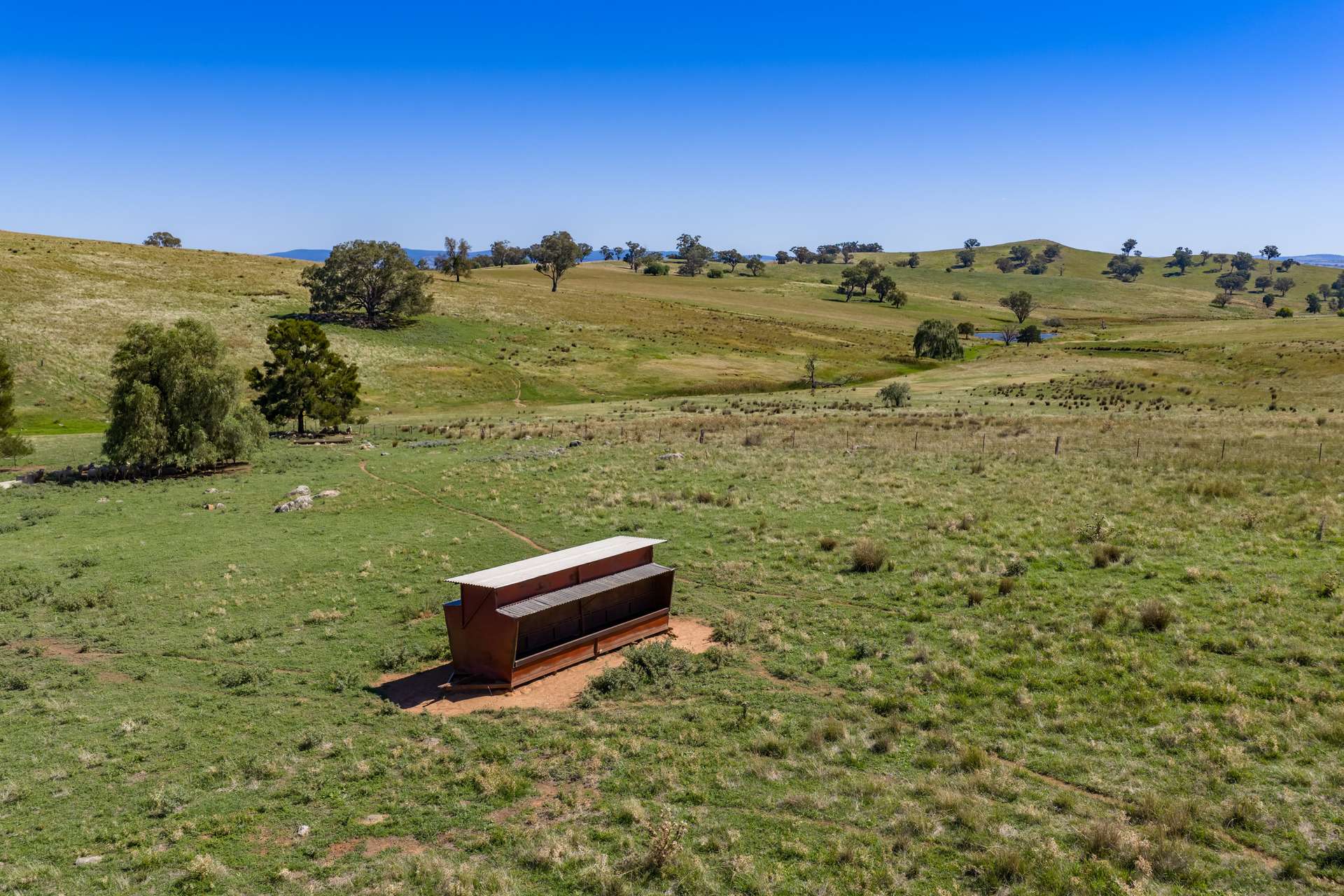 306 Moola Road, Canowindra For Sale by Farmbuy.com - image 19