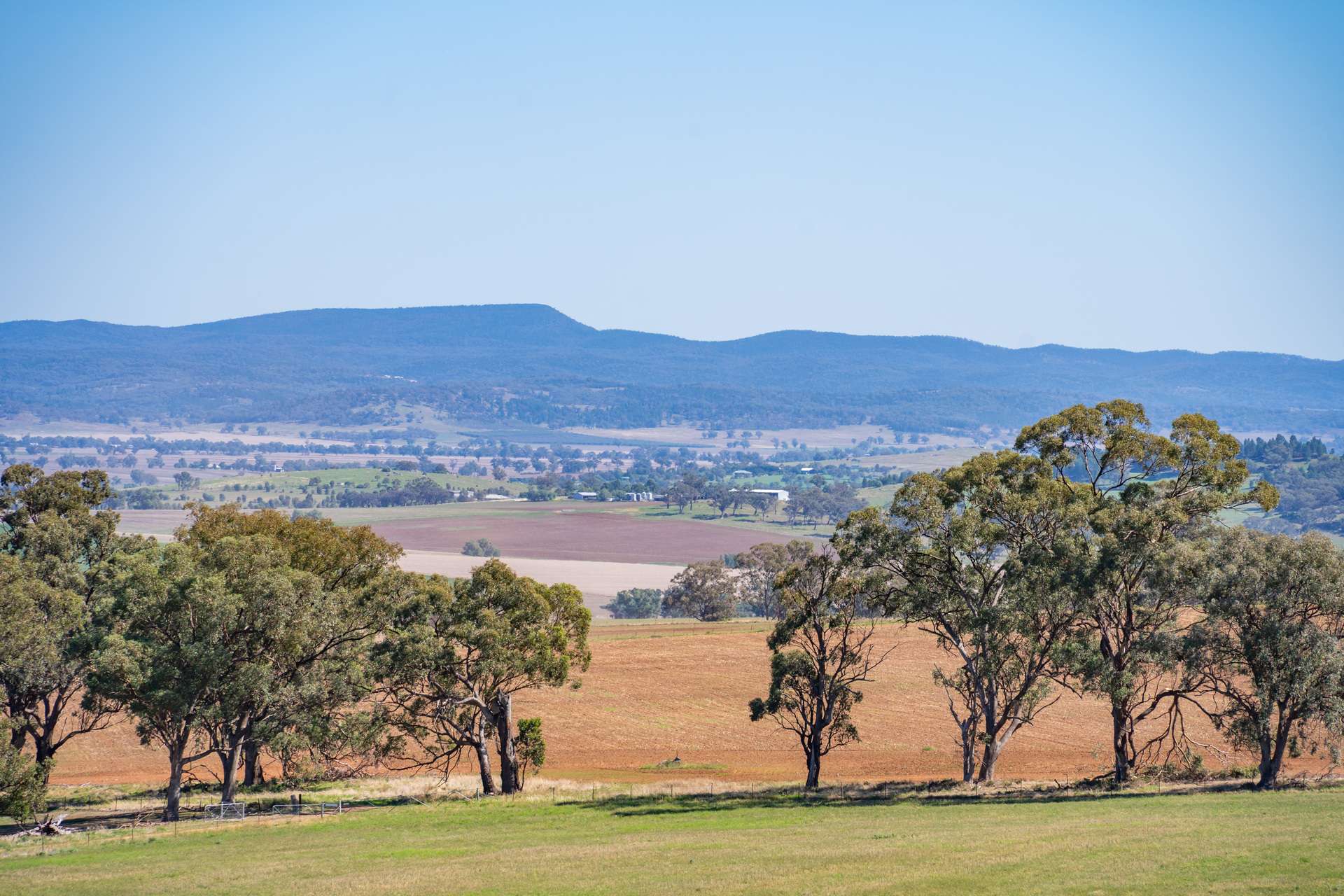 306 Moola Road, Canowindra For Sale by Farmbuy.com - image 30