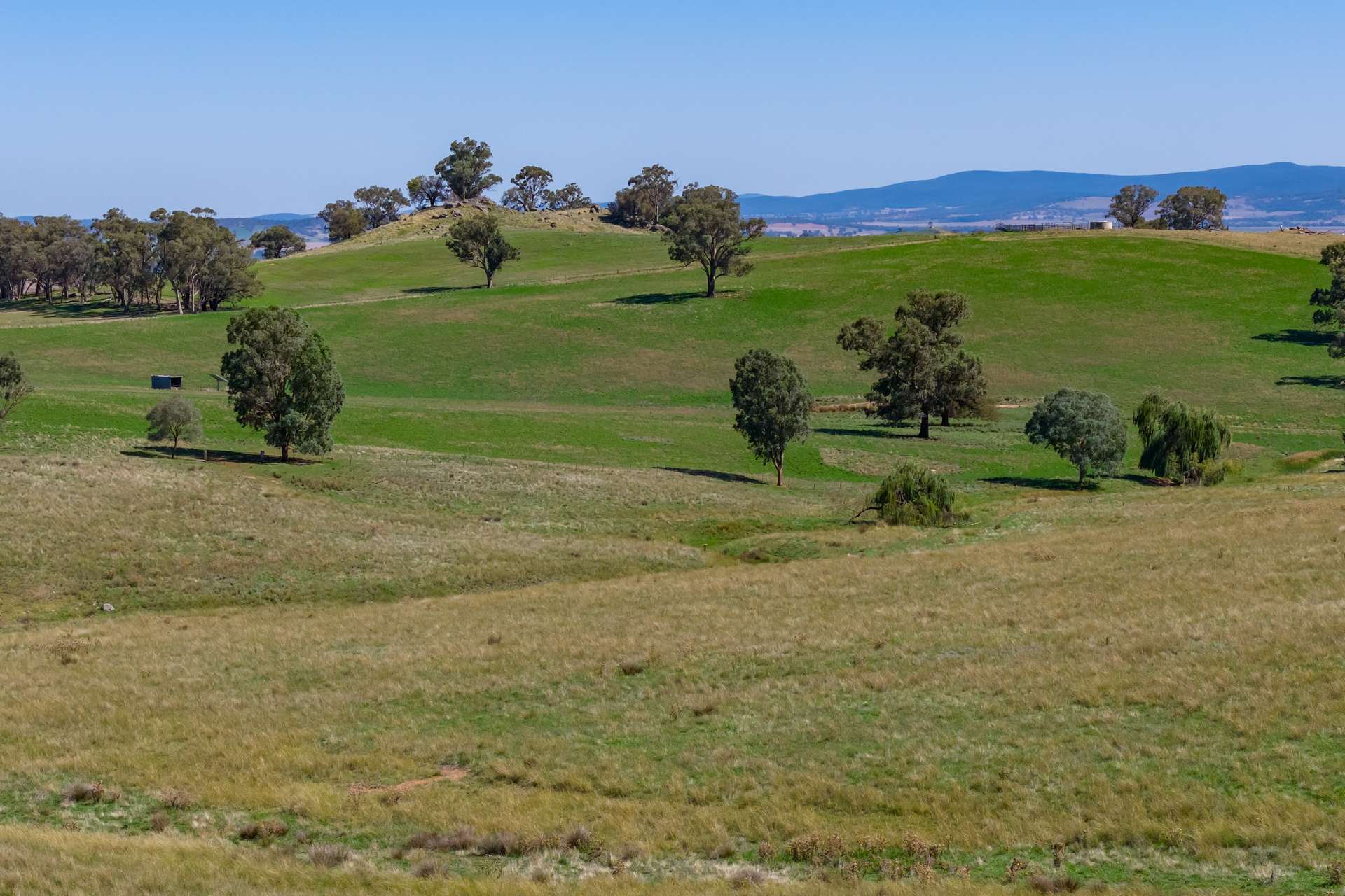306 Moola Road, Canowindra For Sale by Farmbuy.com - image 17