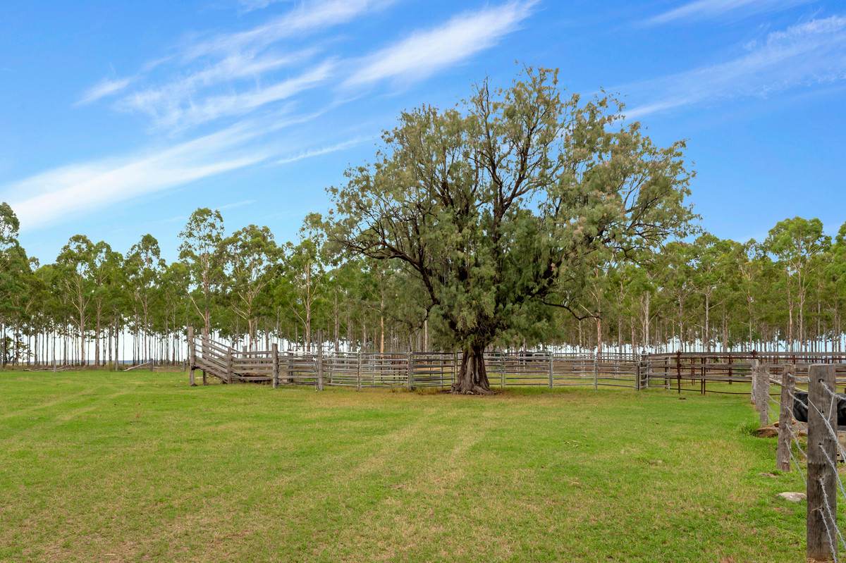 1115 Warwick Yangan Road, Swan Creek For Sale by Farmbuy.com - image 32