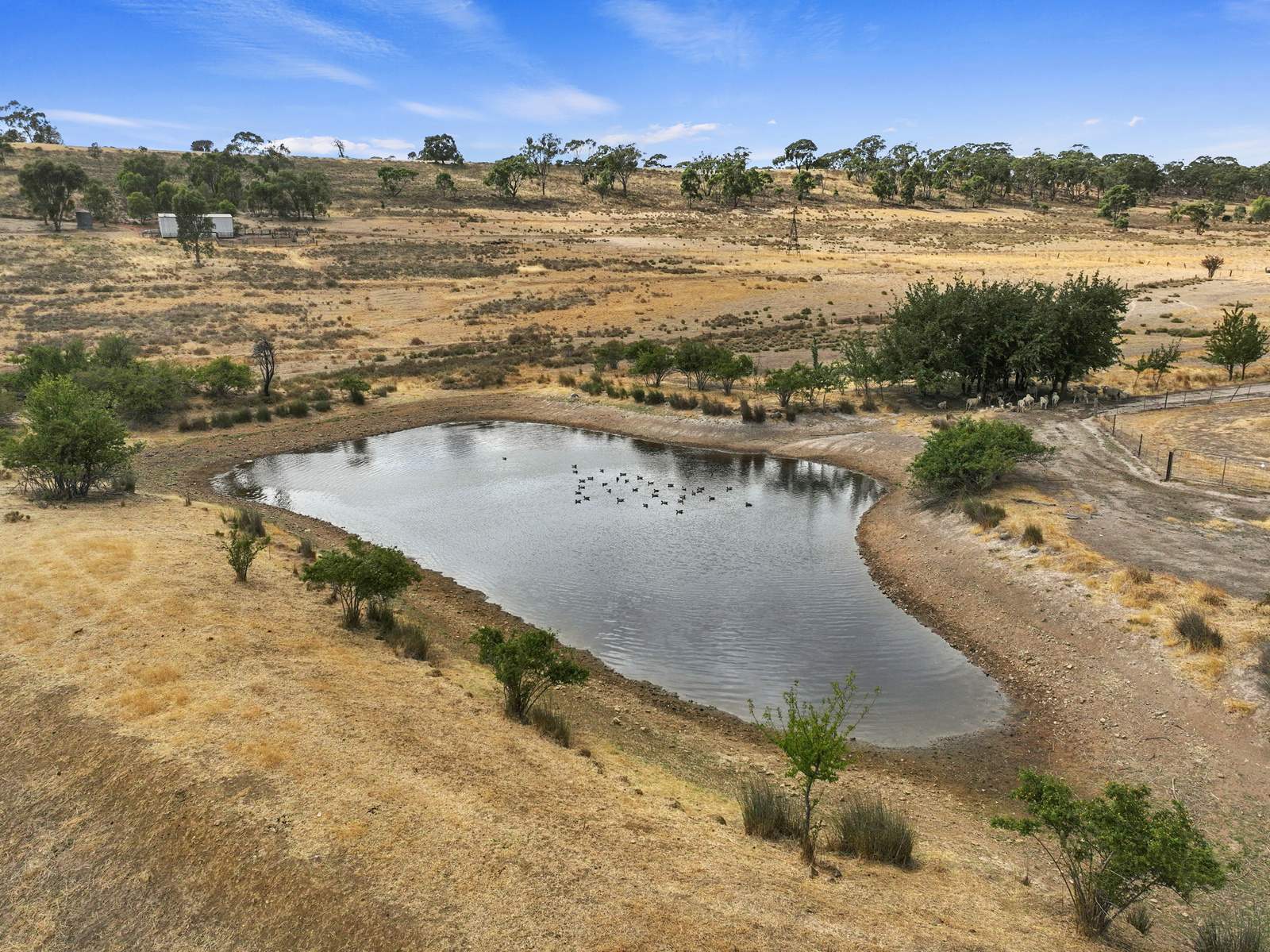 229 Neagles Rock Road, Clare For Sale by Farmbuy.com - image 9