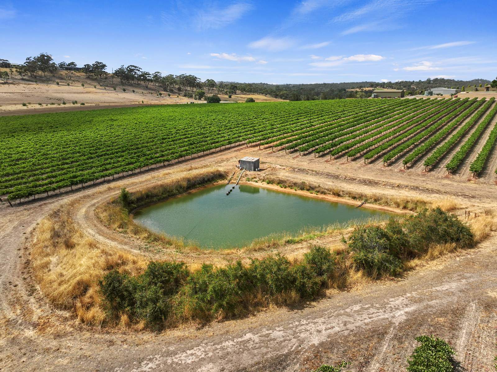 229 Neagles Rock Road, Clare For Sale by Farmbuy.com - image 15