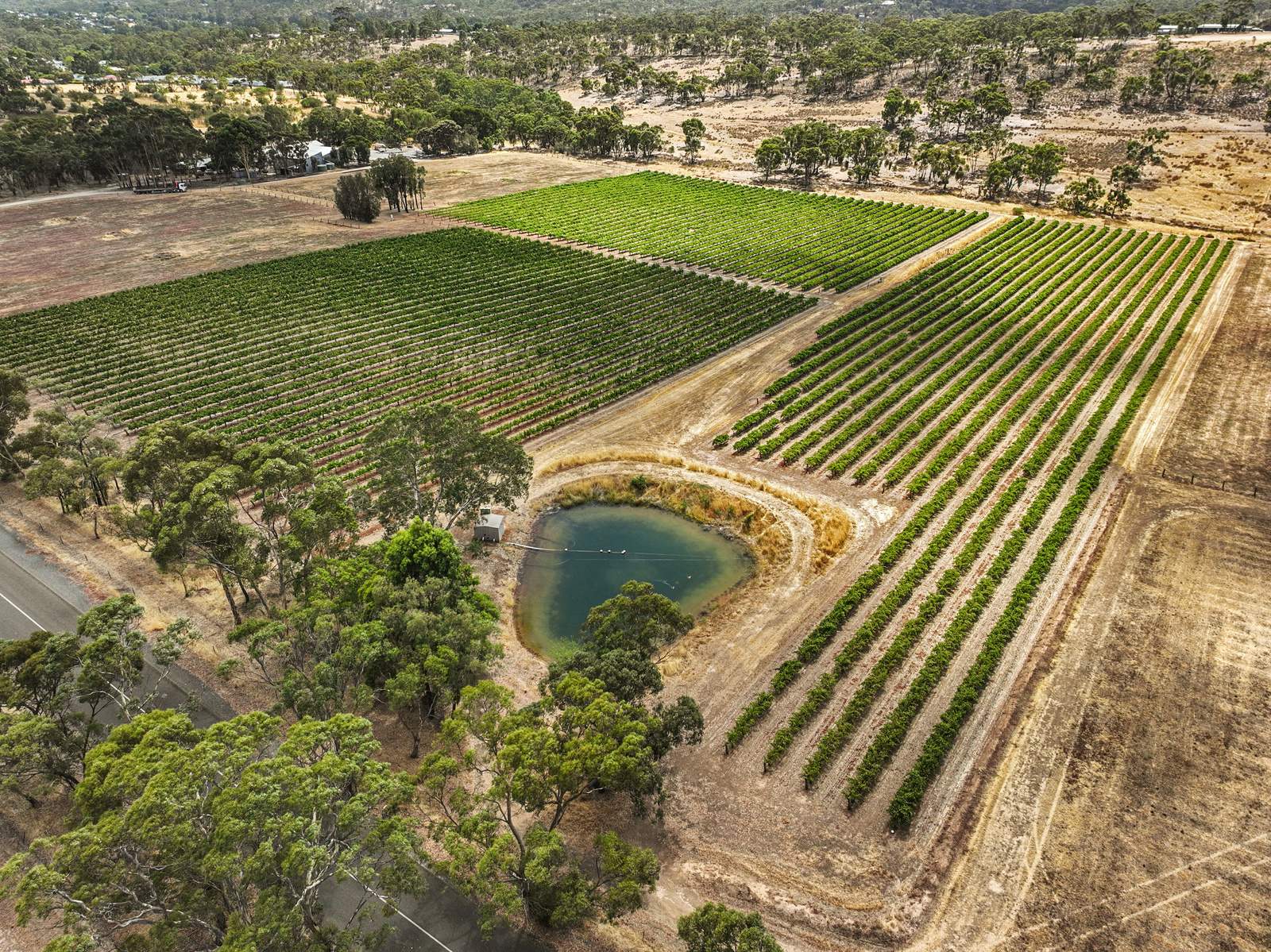 229 Neagles Rock Road, Clare For Sale by Farmbuy.com - image 8