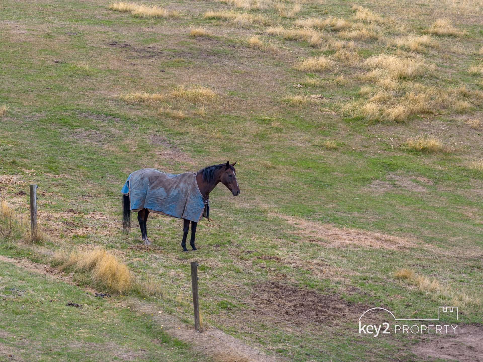 161 Myrtle Creek Road, Liffey For Sale by Farmbuy.com - image 3