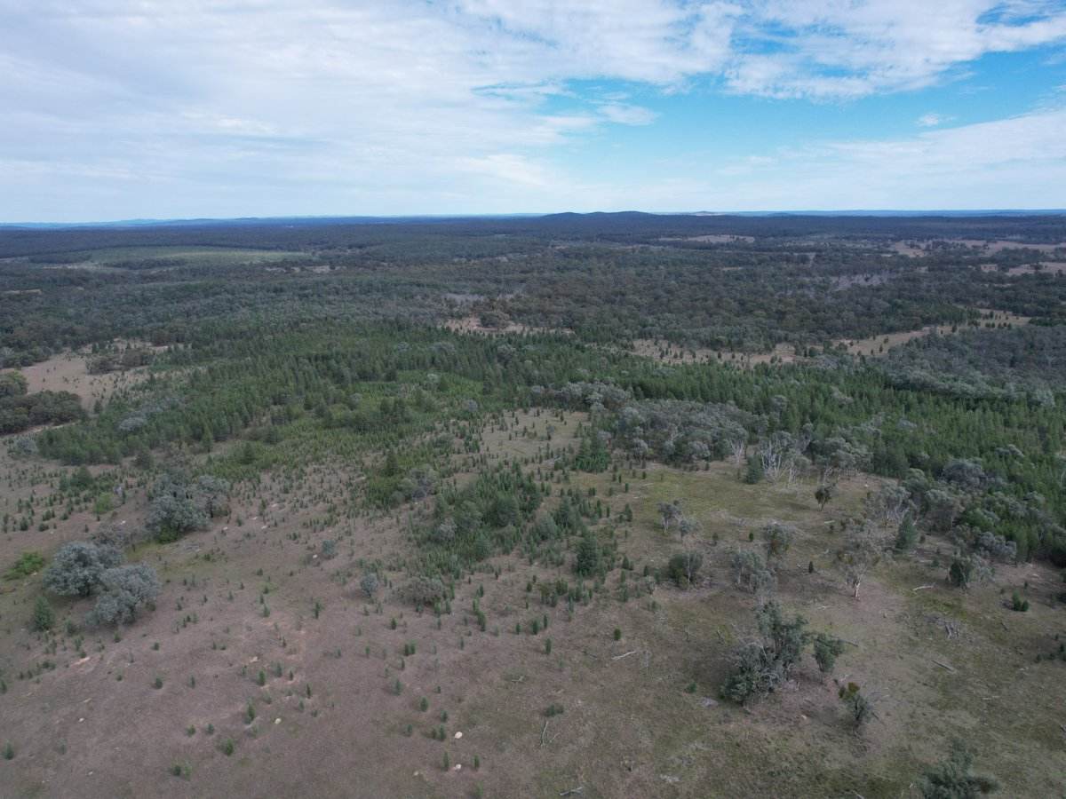 Lot 27 Tin Hut Road, Inglewood For Sale by Farmbuy.com - image 4