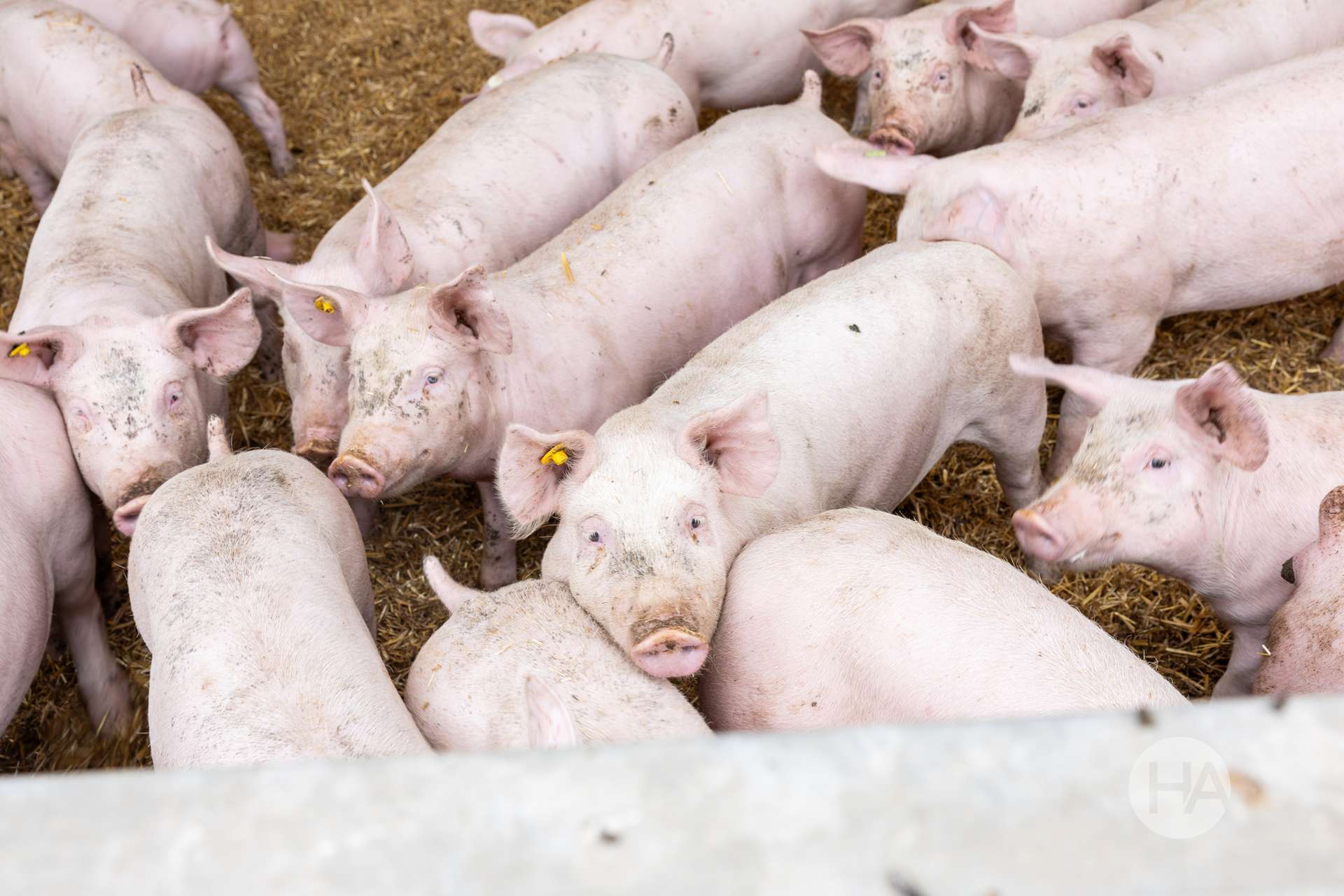 842 Devon Park Road, Donald For Sale by Farmbuy.com - image 17