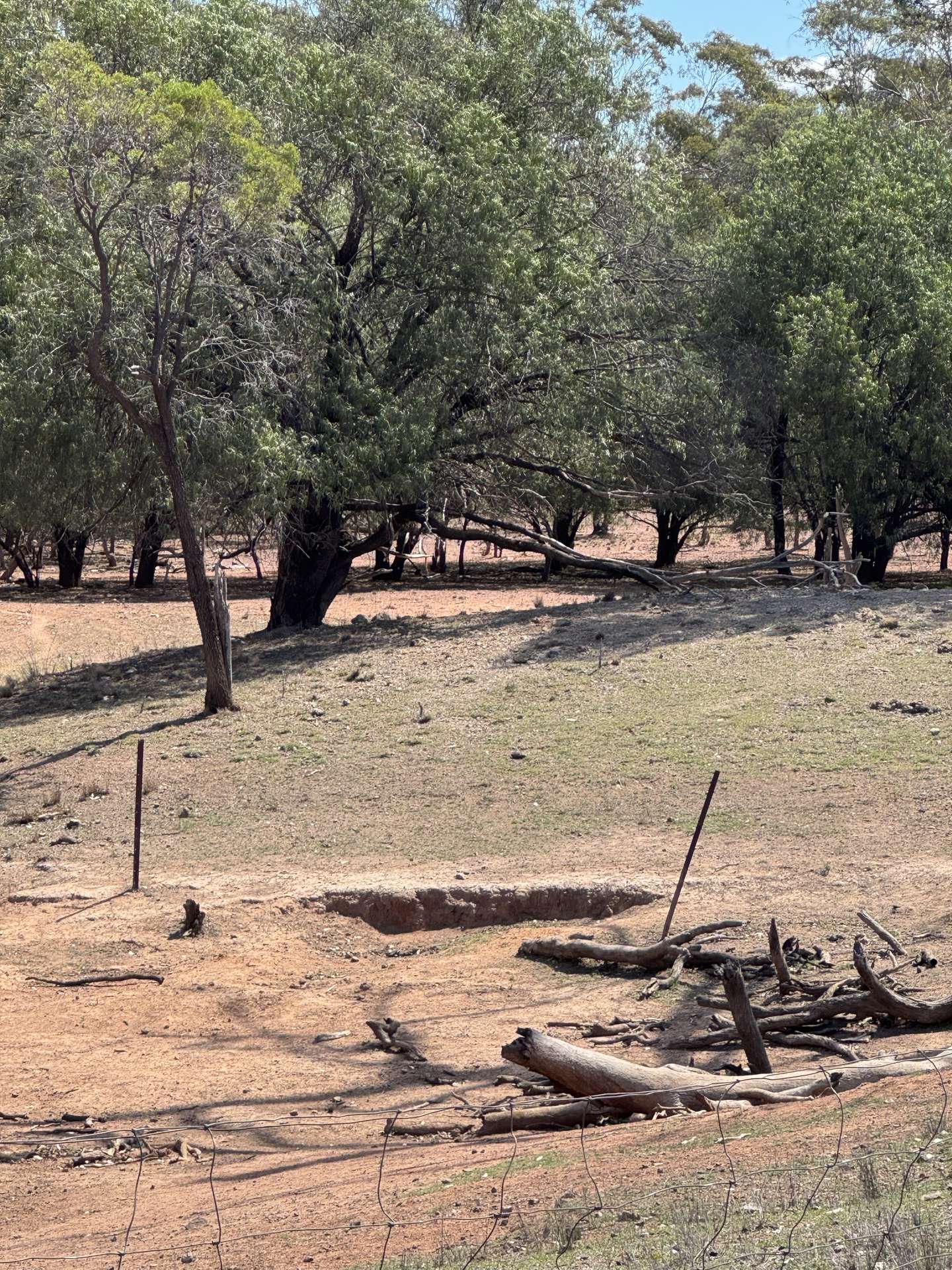 * Dutchmans Hutt, Hermidale For Sale by Farmbuy.com - image 7