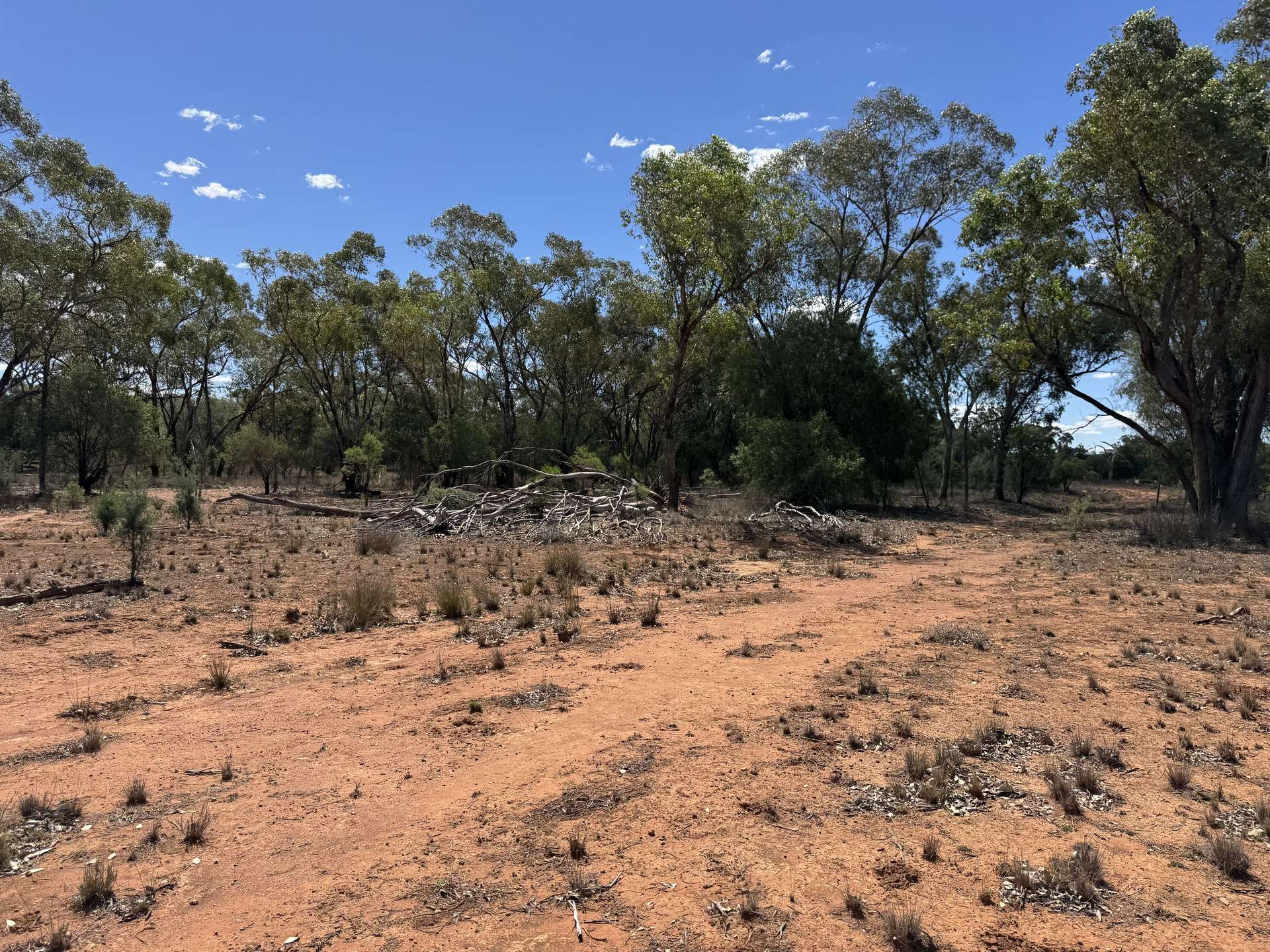 * Dutchmans Hutt, Hermidale For Sale by Farmbuy.com - image 8