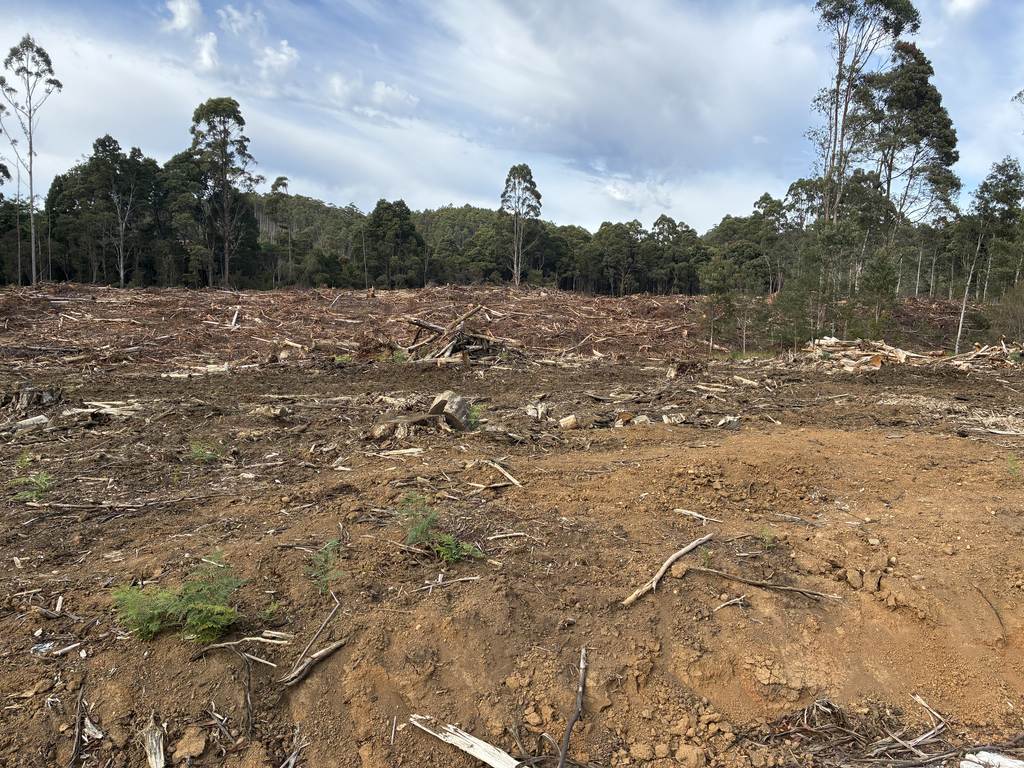 &period; Calder Road, Calder TAS 7325