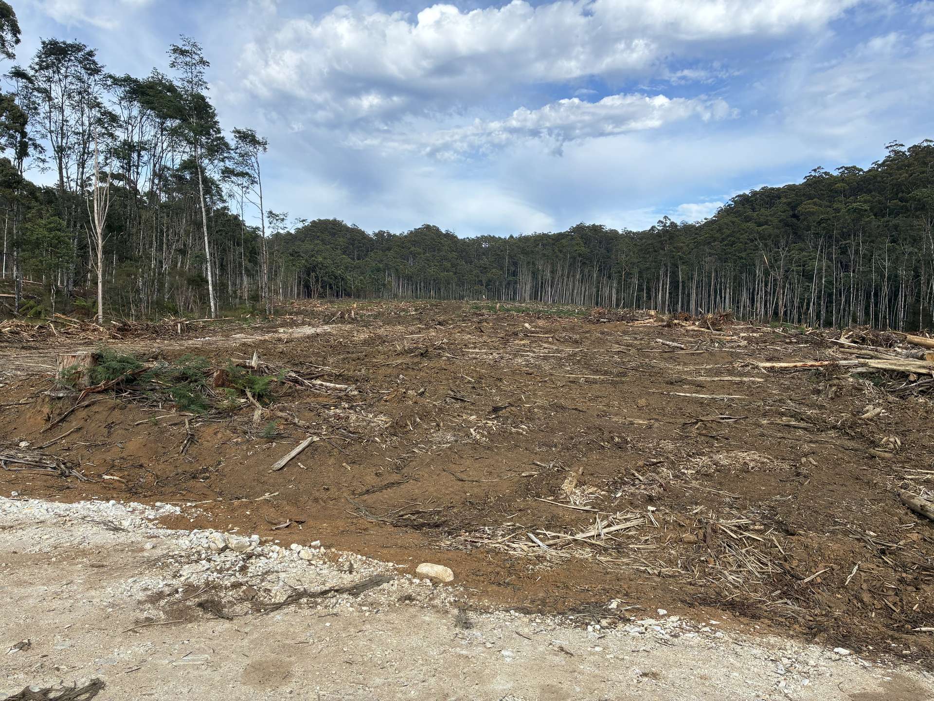 . Calder Road, Calder For Sale by Farmbuy.com - image 10