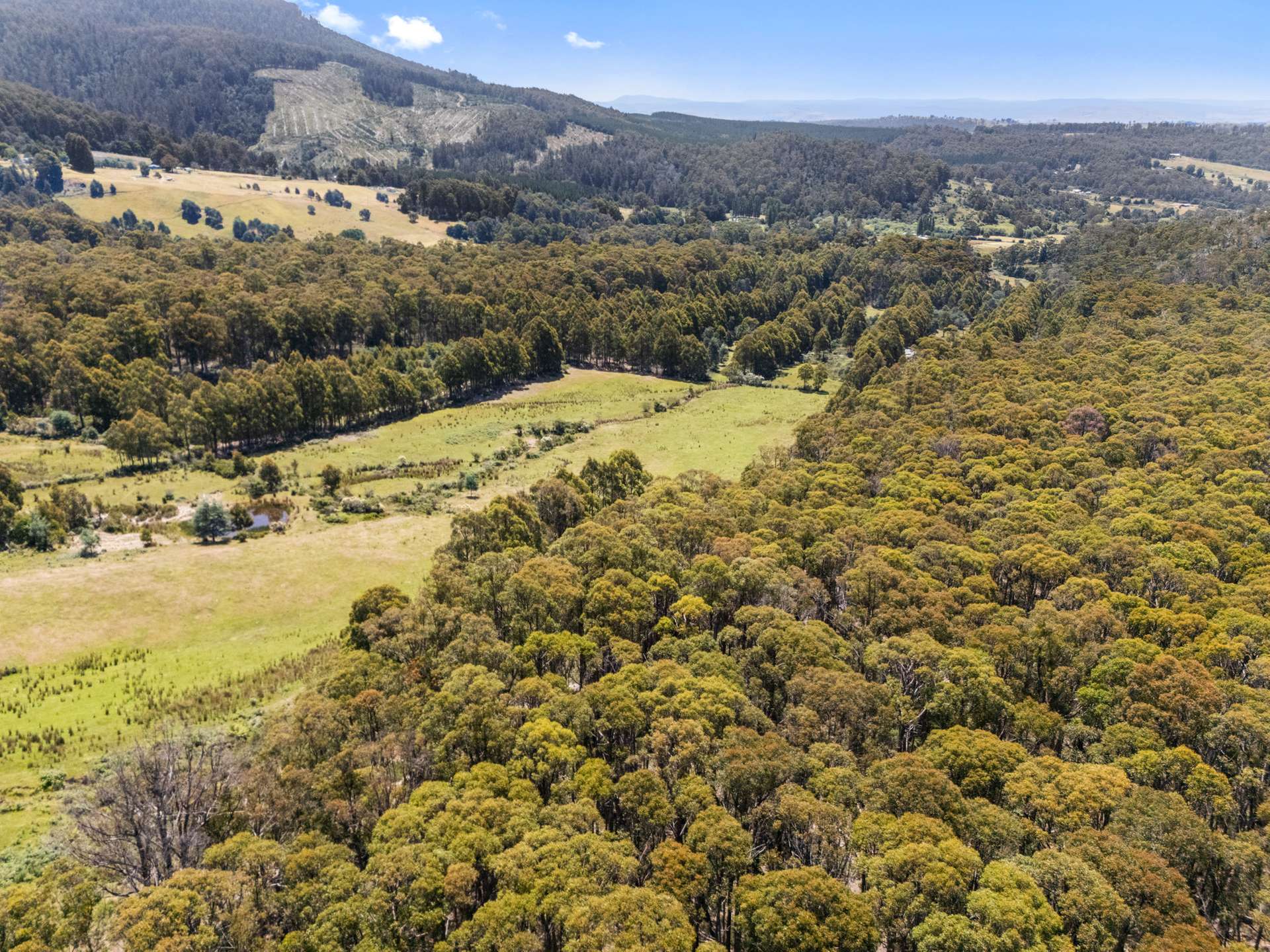 79 Marriotts Road, Ellendale For Sale by Farmbuy.com - image 5