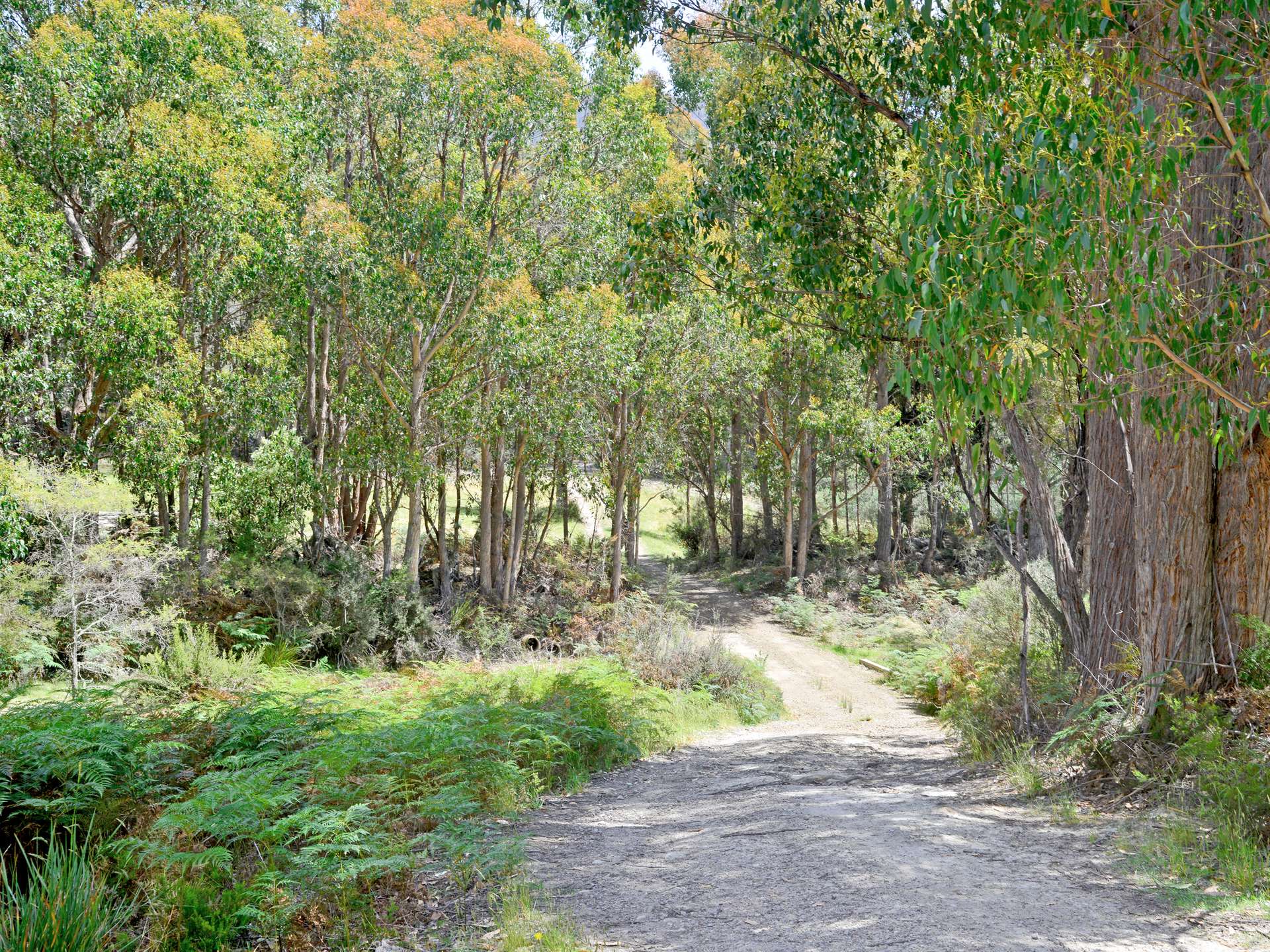 79 Marriotts Road, Ellendale For Sale by Farmbuy.com - image 6