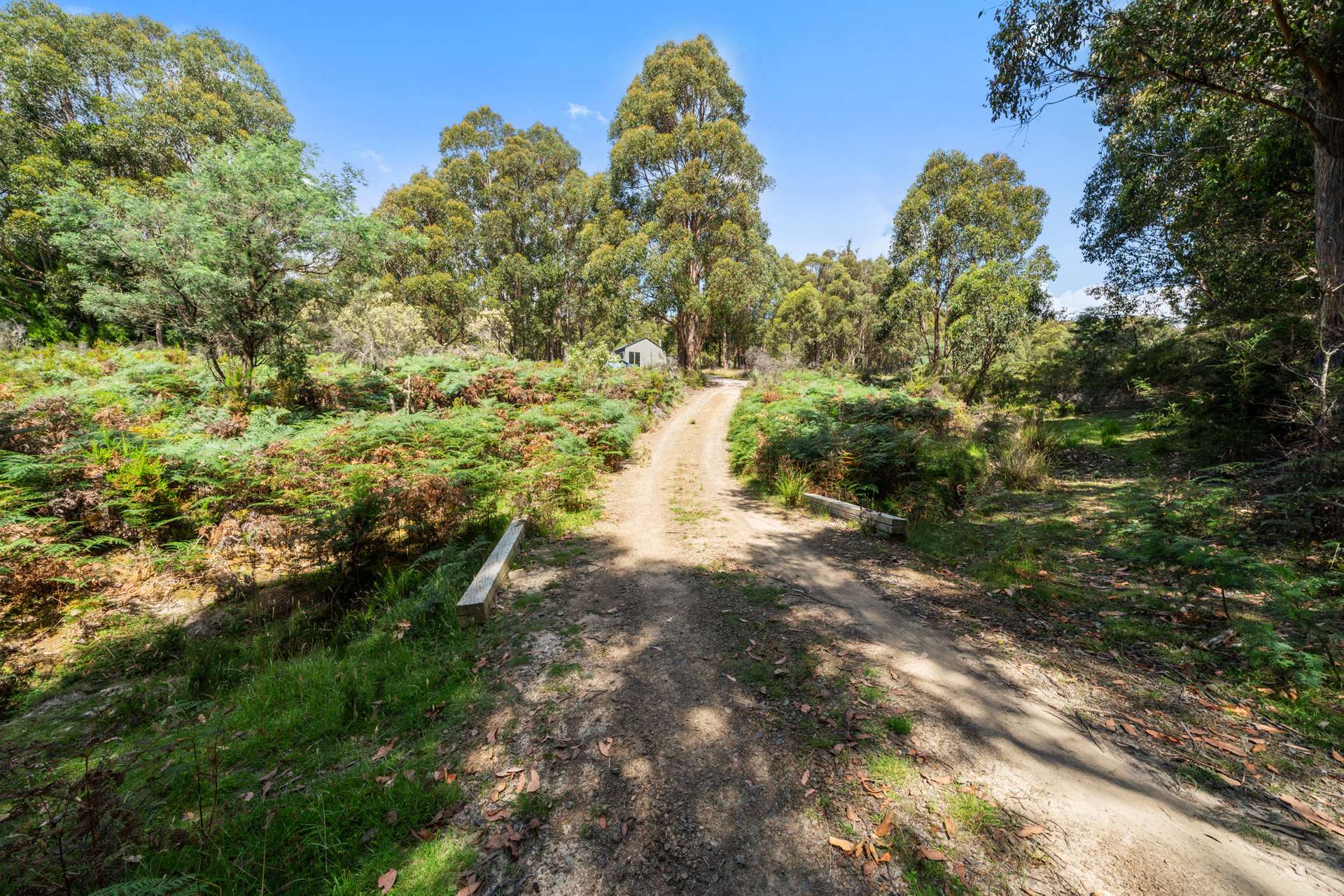 79 Marriotts Road, Ellendale For Sale by Farmbuy.com - image 3