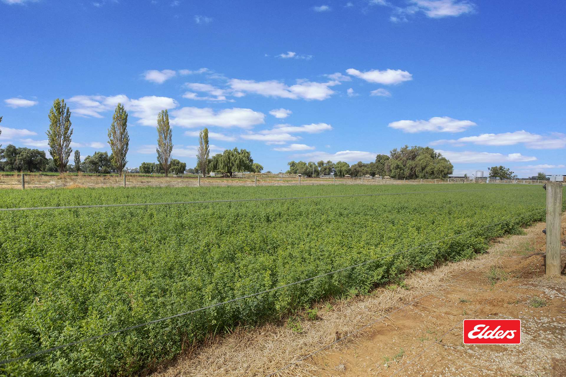 315 Bamawm Road, Echuca For Sale by Farmbuy.com - image 27