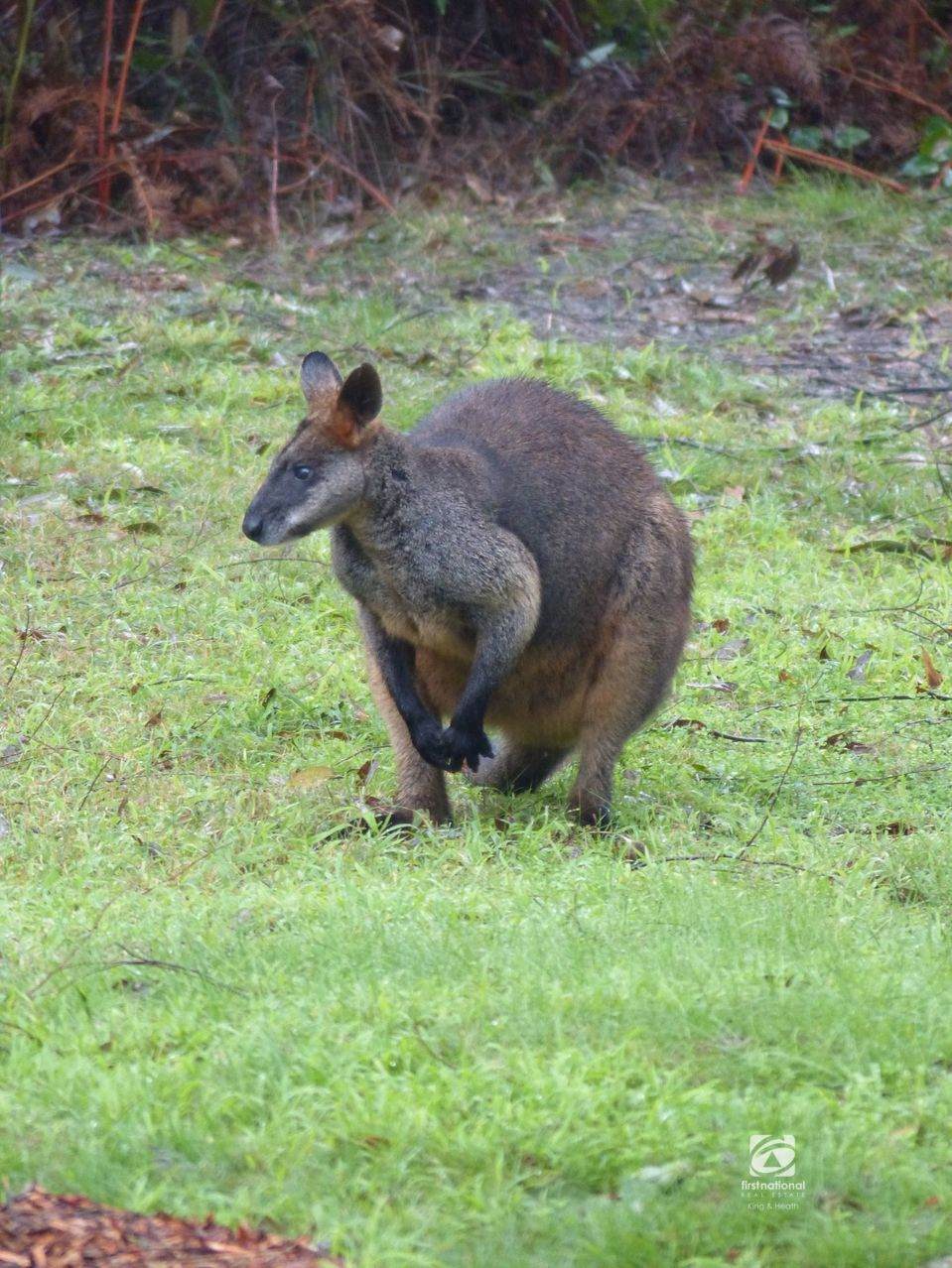 148 Veldens Road, Toorloo Arm For Sale by Farmbuy.com - image 23