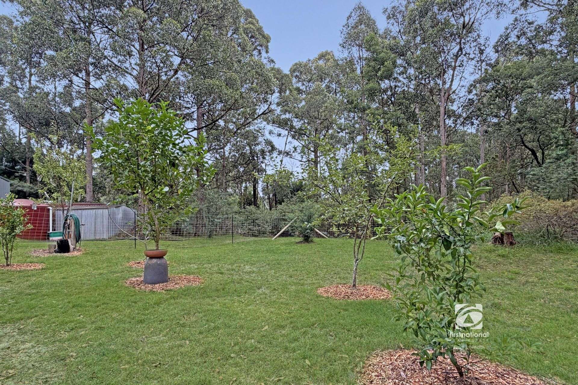 148 Veldens Road, Toorloo Arm For Sale by Farmbuy.com - image 14