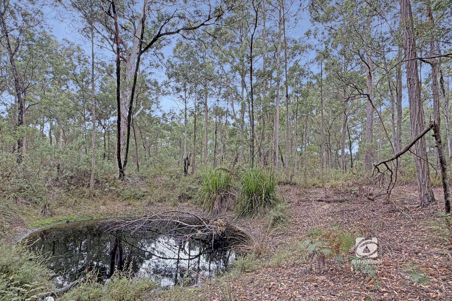 148 Veldens Road, Toorloo Arm For Sale by Farmbuy.com - image 19