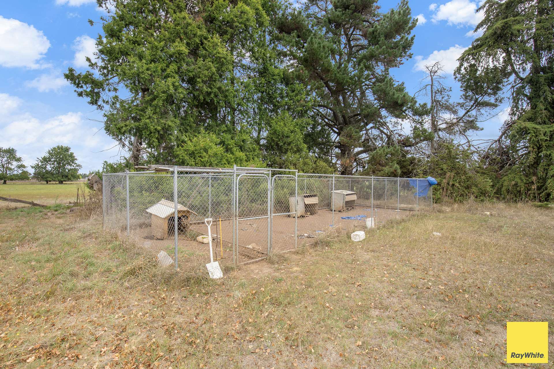 74 Dumaresq Road, Armidale Auction by Farmbuy.com - image 15