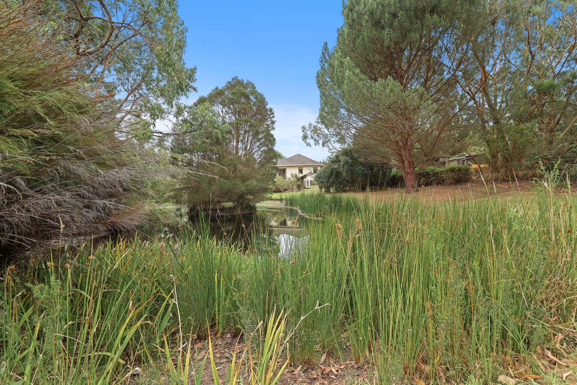 29 Hall Rd, Buffalo For Sale by Farmbuy.com - image 14