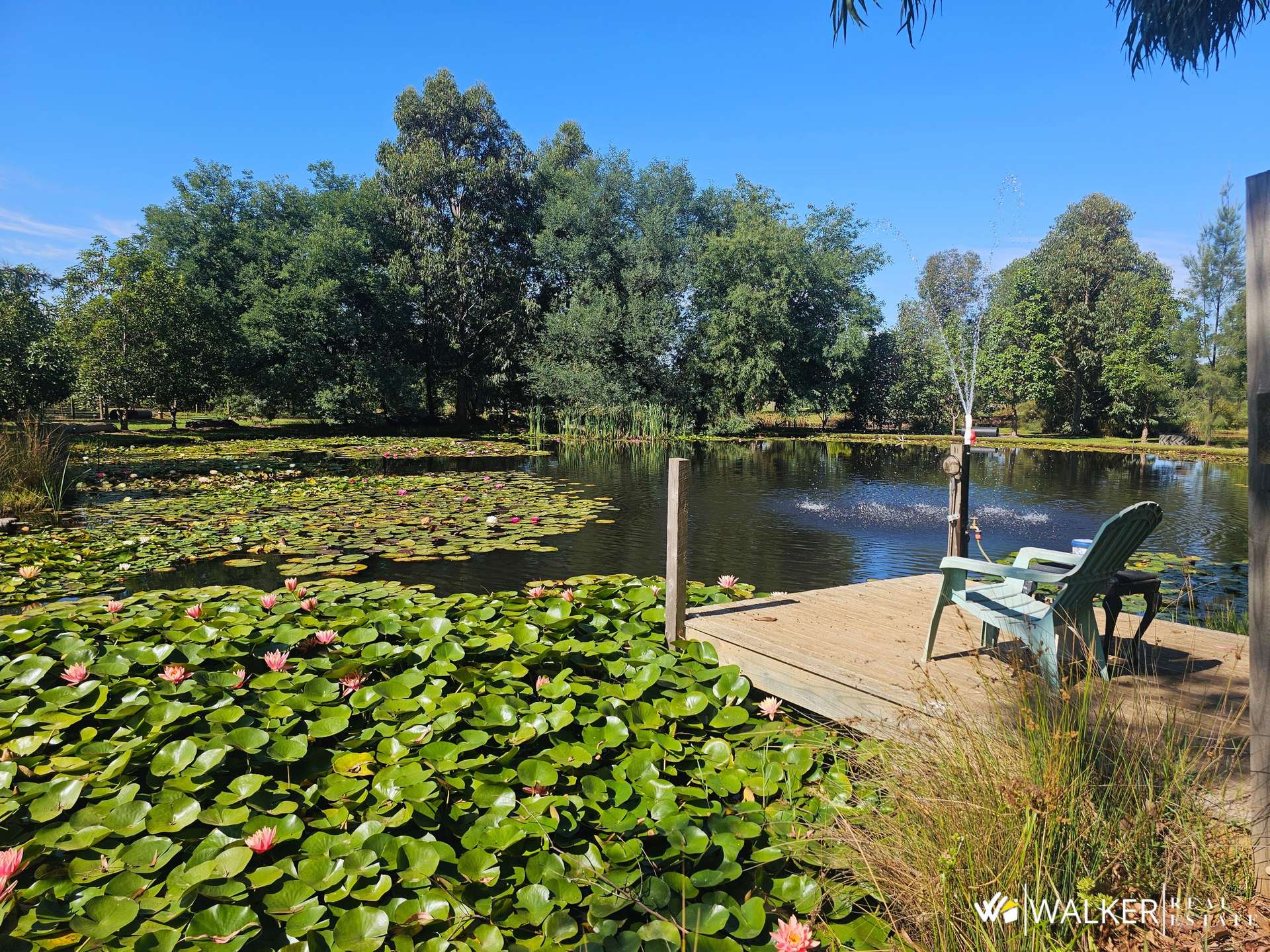 1367 Byrneside-Kyabram Road, Lancaster For Sale by Farmbuy.com - image 4