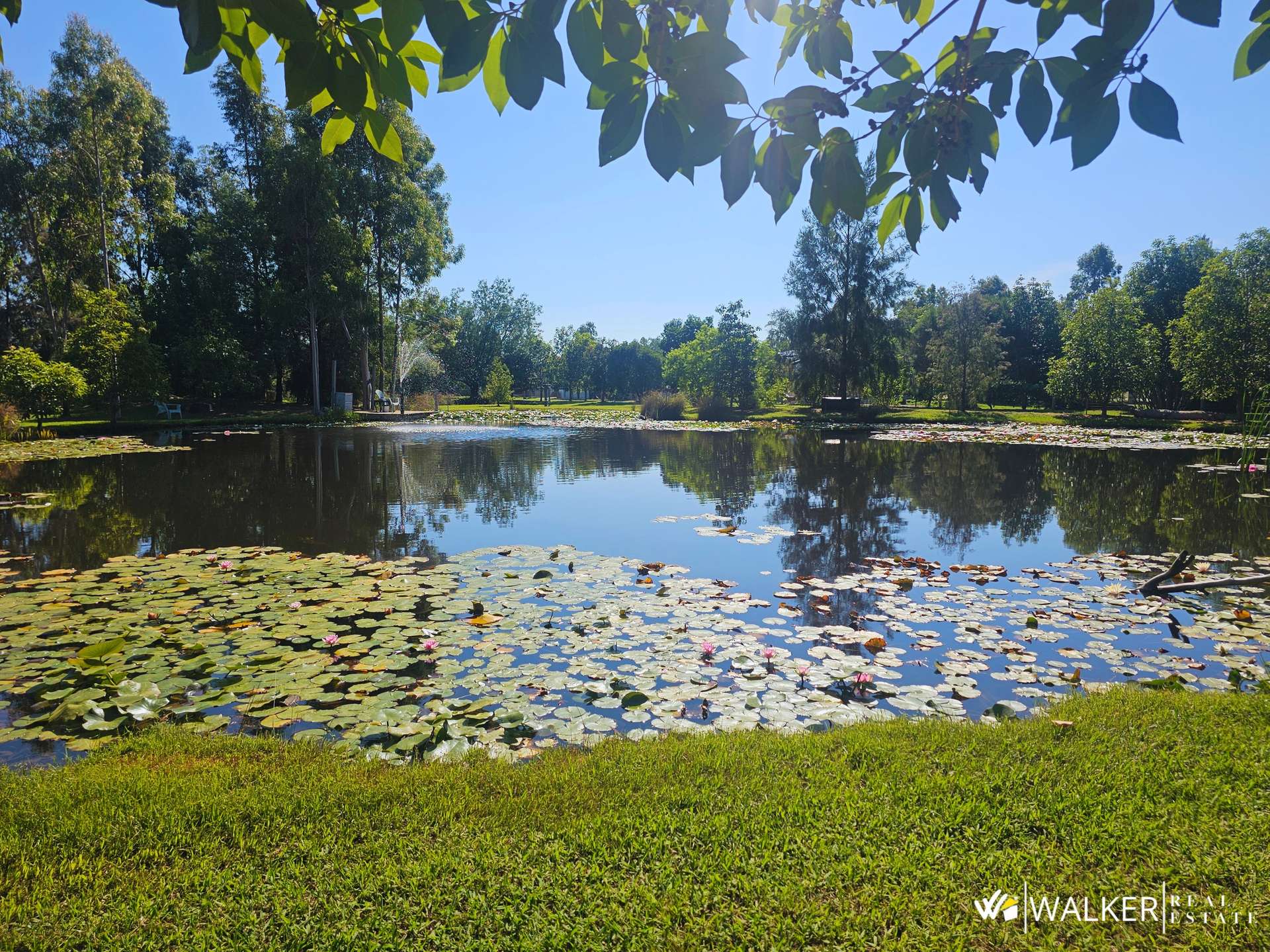 1367 Byrneside-Kyabram Road, Lancaster For Sale by Farmbuy.com - image 22