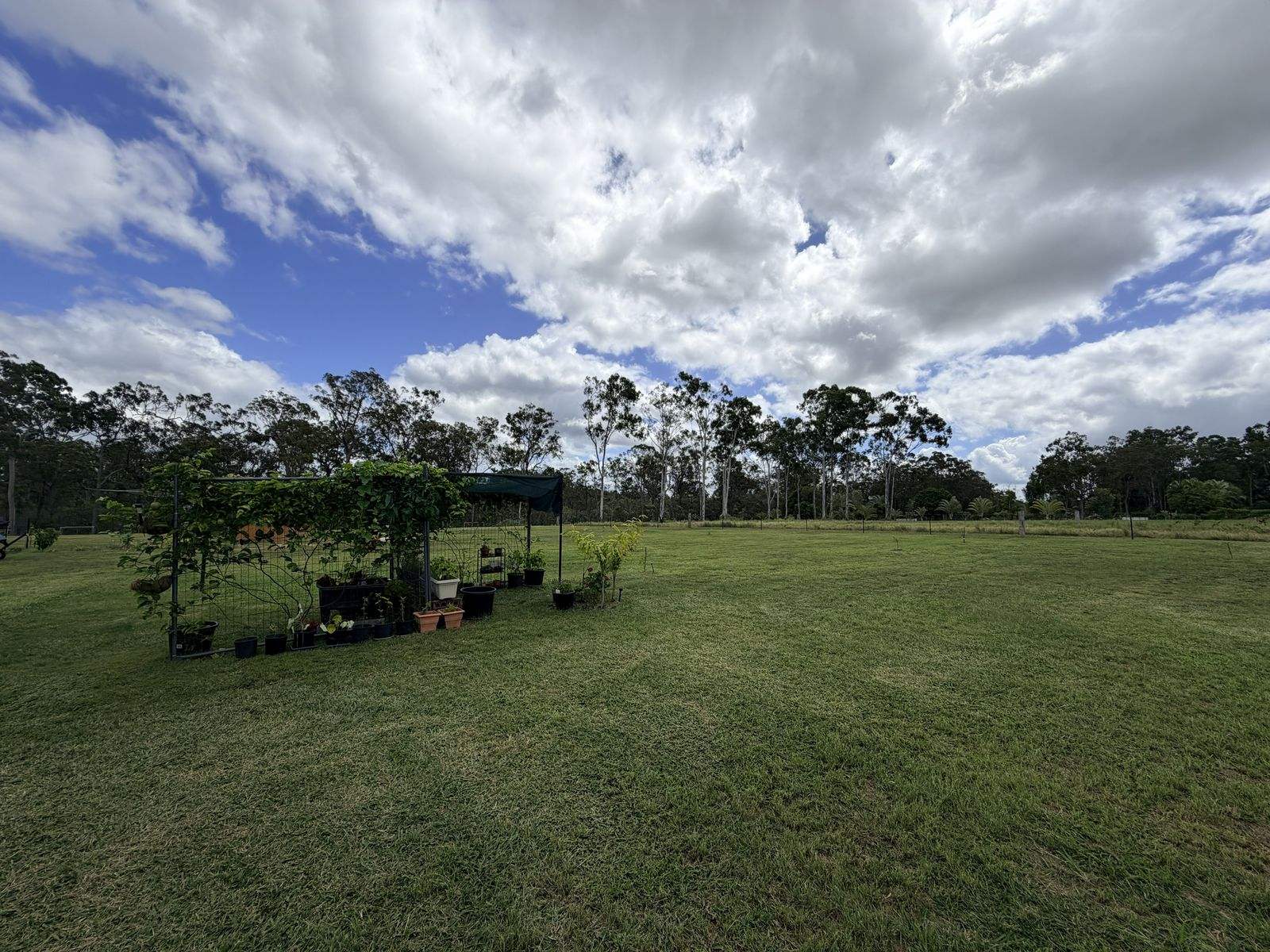 98 Mullers Road, Redridge For Sale by Farmbuy.com - image 16