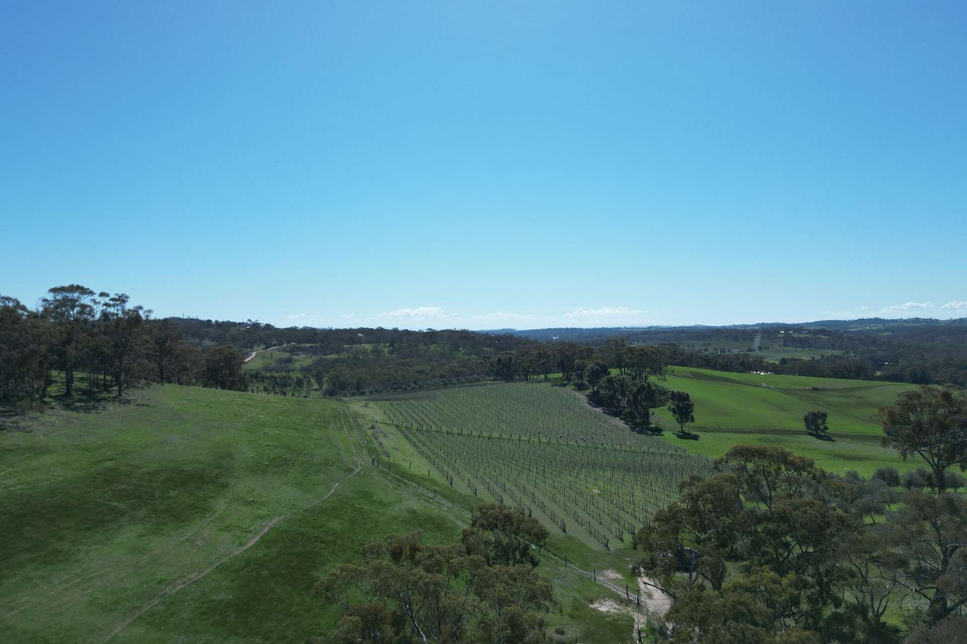 Lot 388 McCord Lane, Gillentown For Sale by Farmbuy.com - image 2