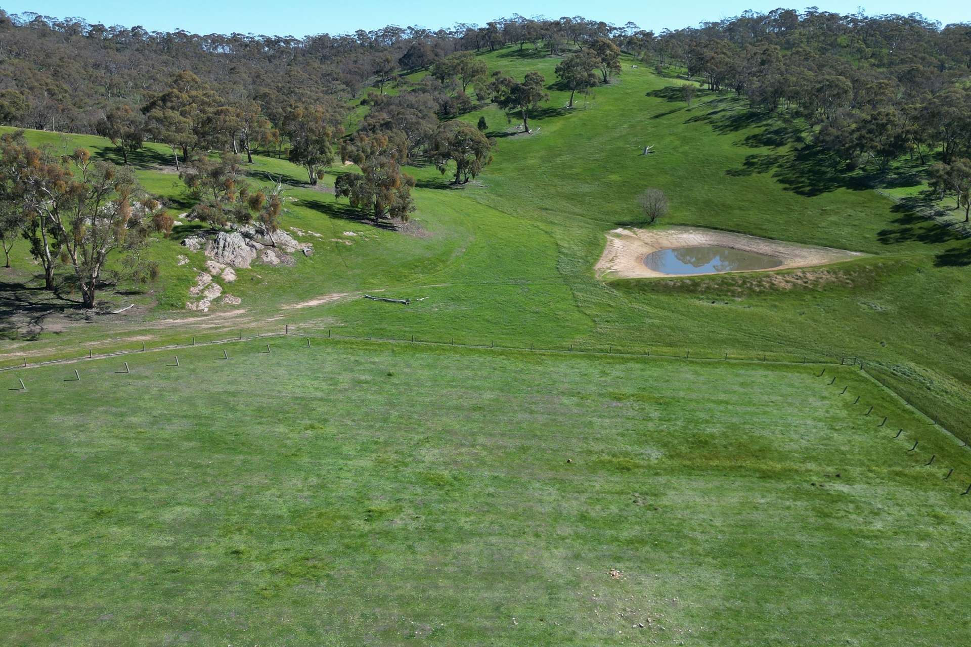 Lot 388 McCord Lane, Gillentown For Sale by Farmbuy.com - image 13