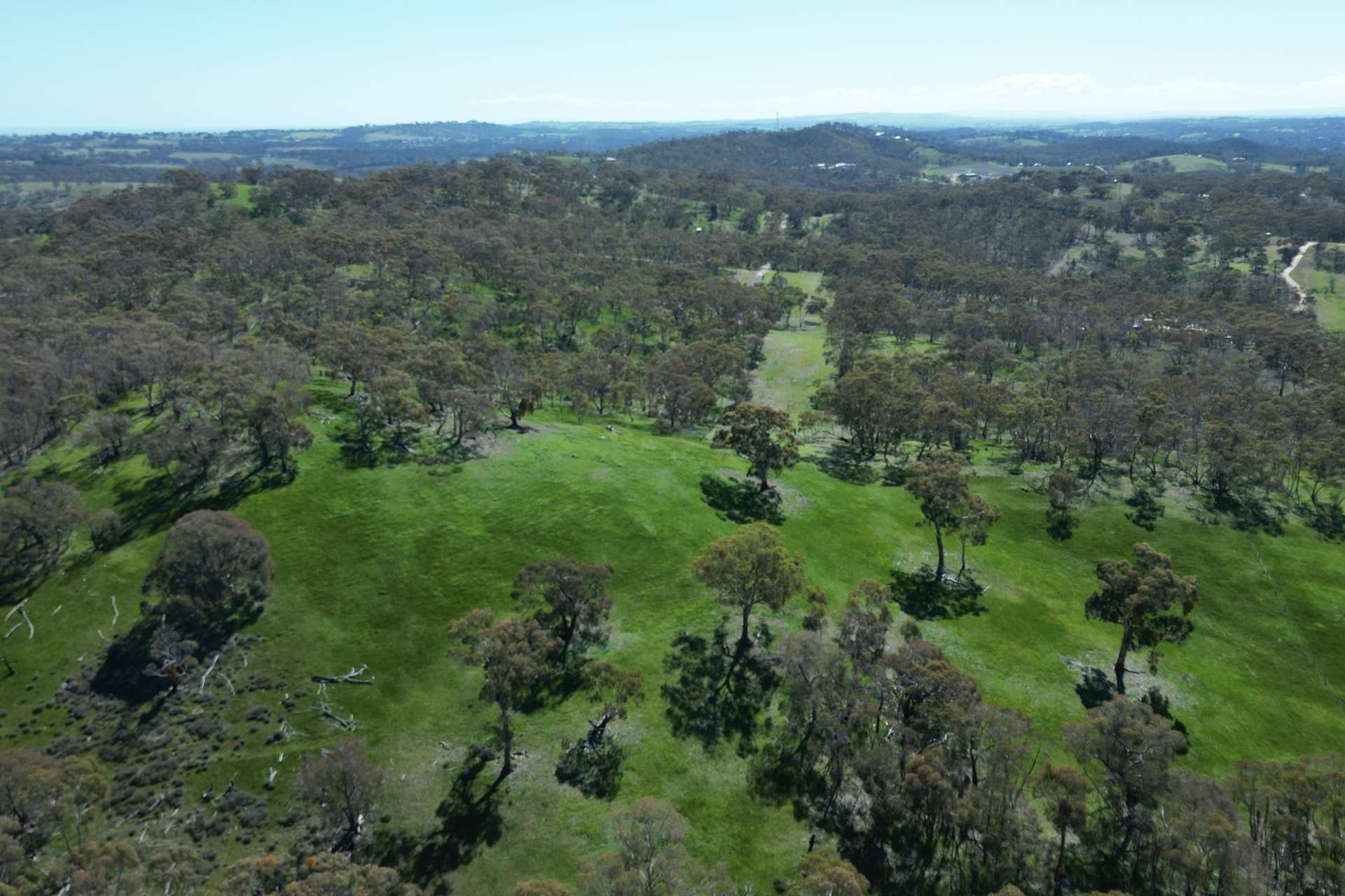 Lot 388 McCord Lane, Gillentown For Sale by Farmbuy.com - image 9