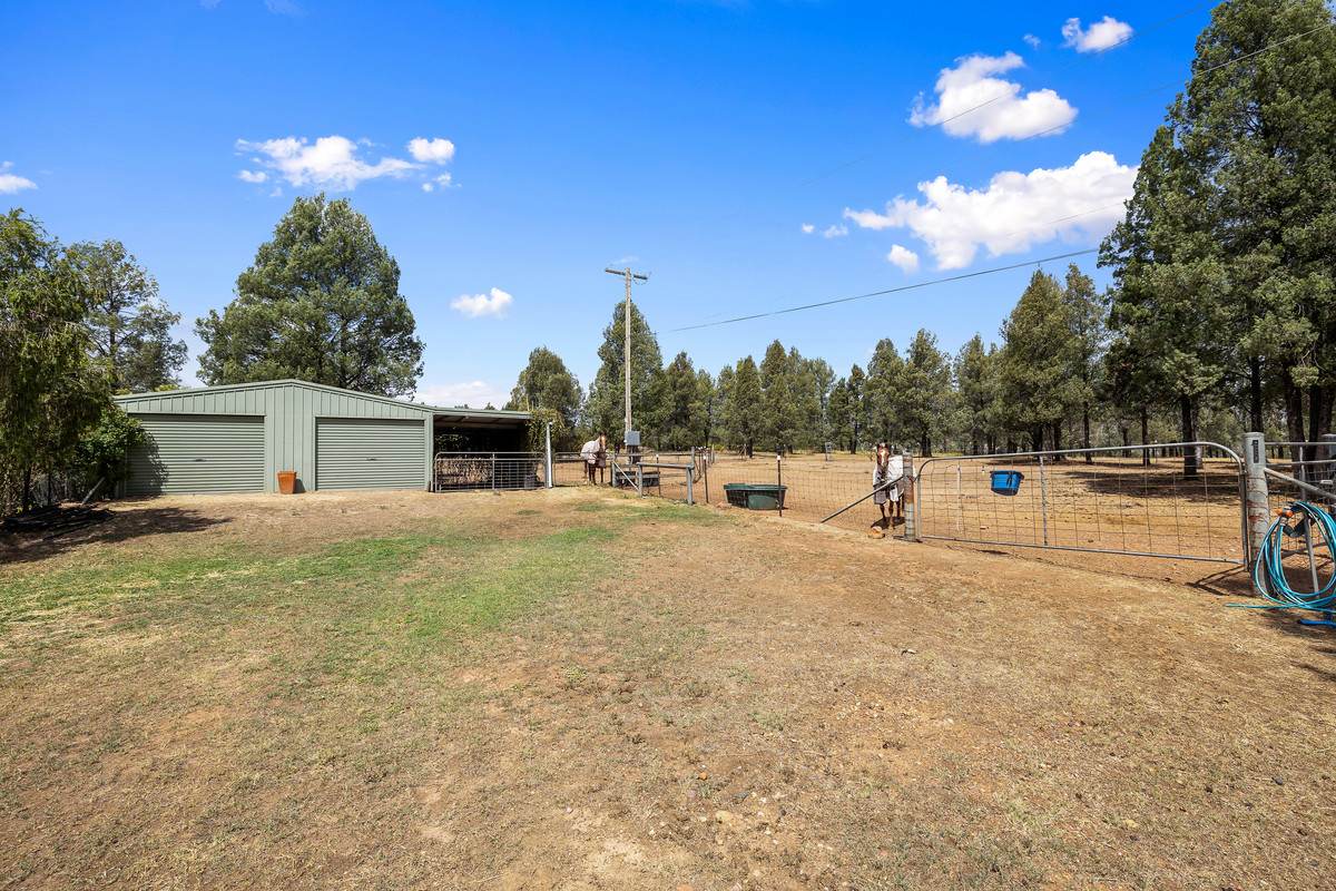 38-40 Evans Road, Gunnedah For Sale by Farmbuy.com - image 17