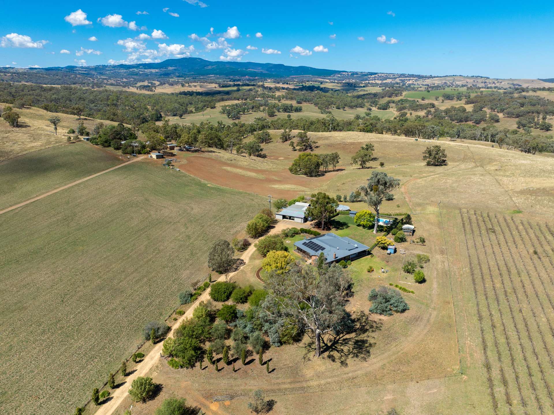 1827 The Escort Way, Orange Auction by Farmbuy.com - image 13