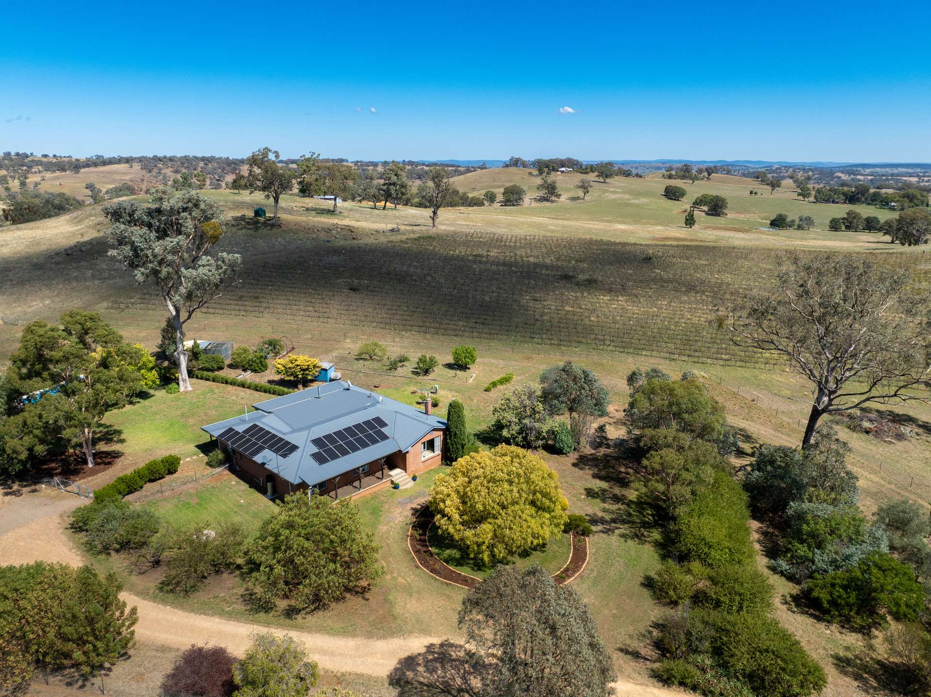 1827 The Escort Way, Orange Auction by Farmbuy.com - image 15