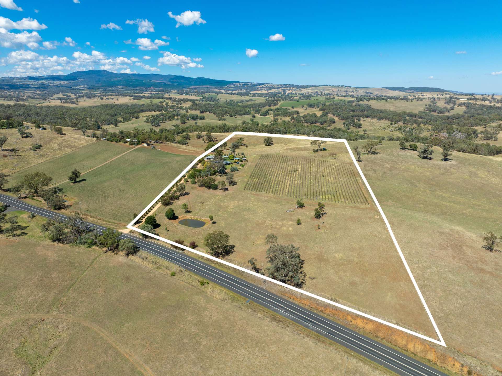 1827 The Escort Way, Orange Auction by Farmbuy.com - image 23