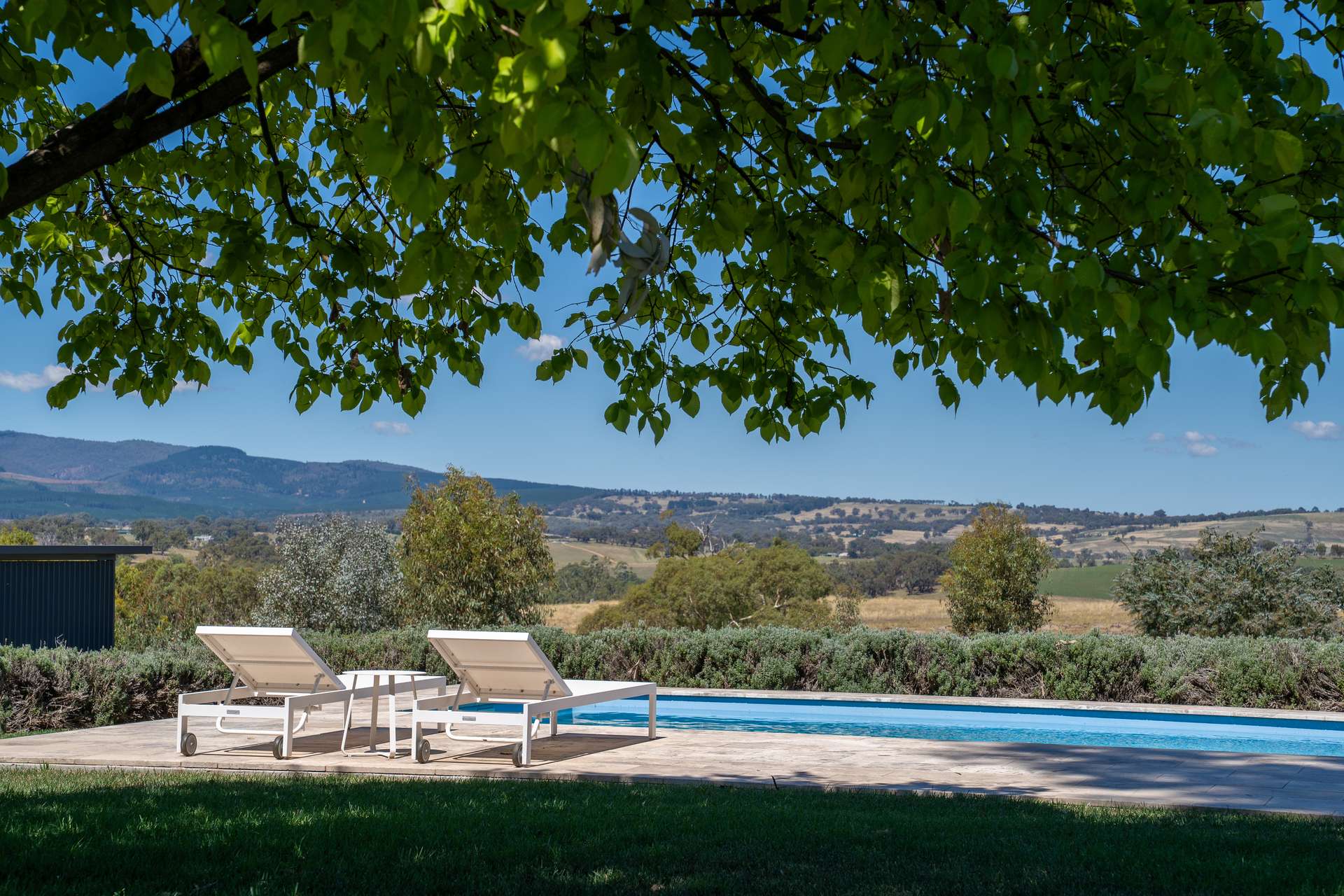 1827 The Escort Way, Orange Auction by Farmbuy.com - image 16