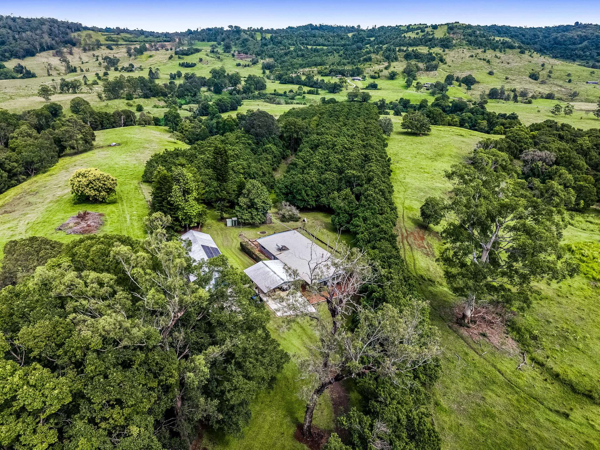 Keerrong For Sale by Farmbuy.com - image 26