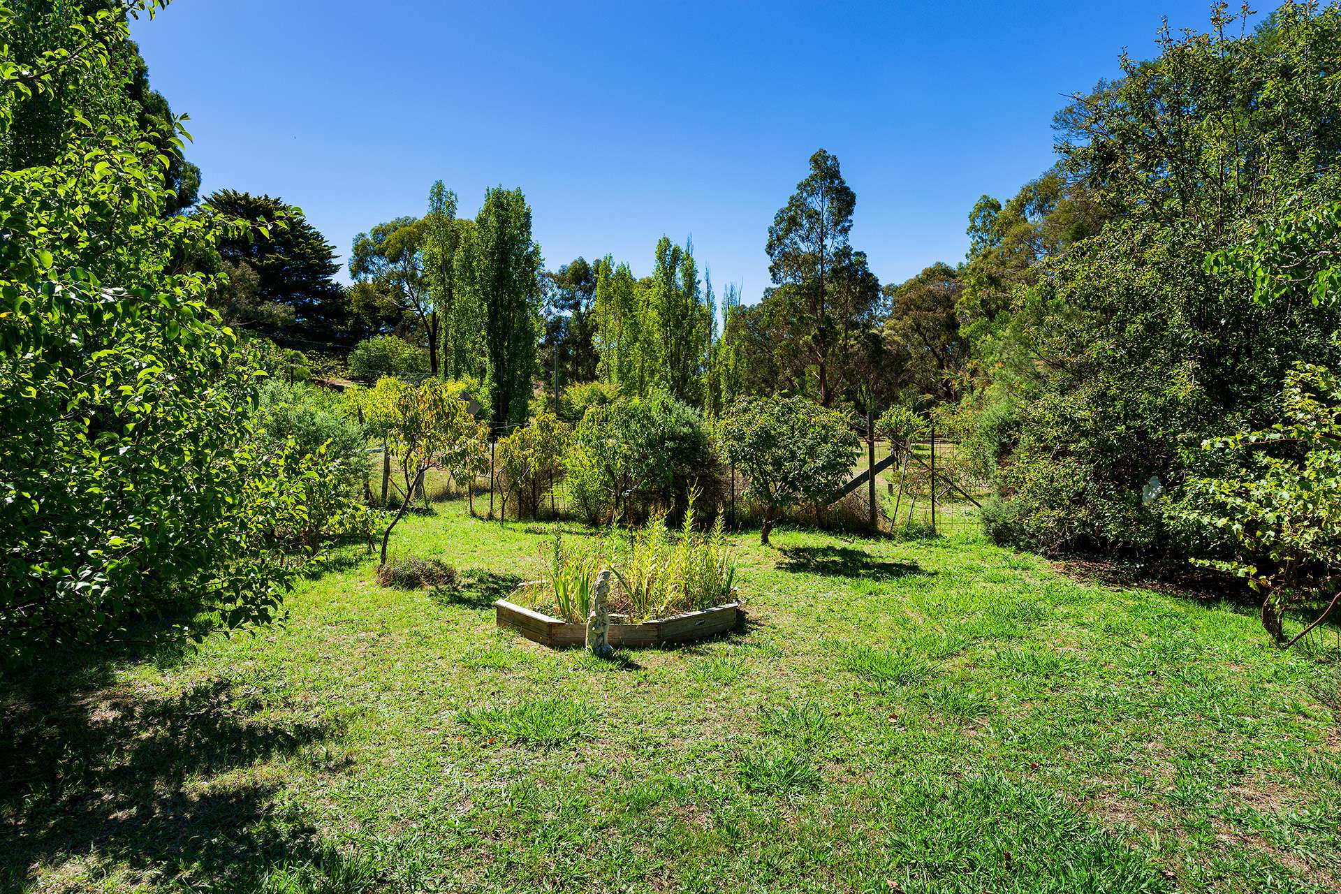 24 High Street, Fryerstown For Sale by Farmbuy.com - image 20