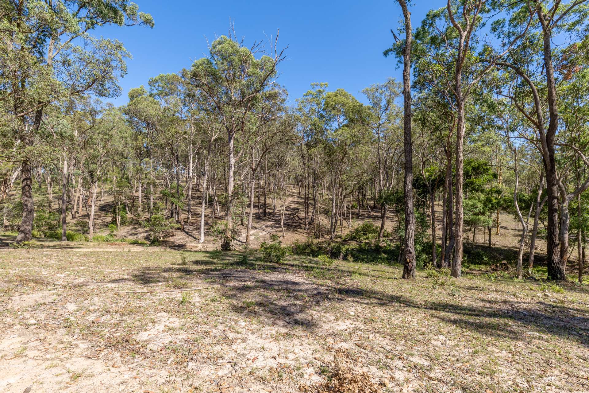 93 Glen William Road, Clarence Town For Sale by Farmbuy.com - image 17