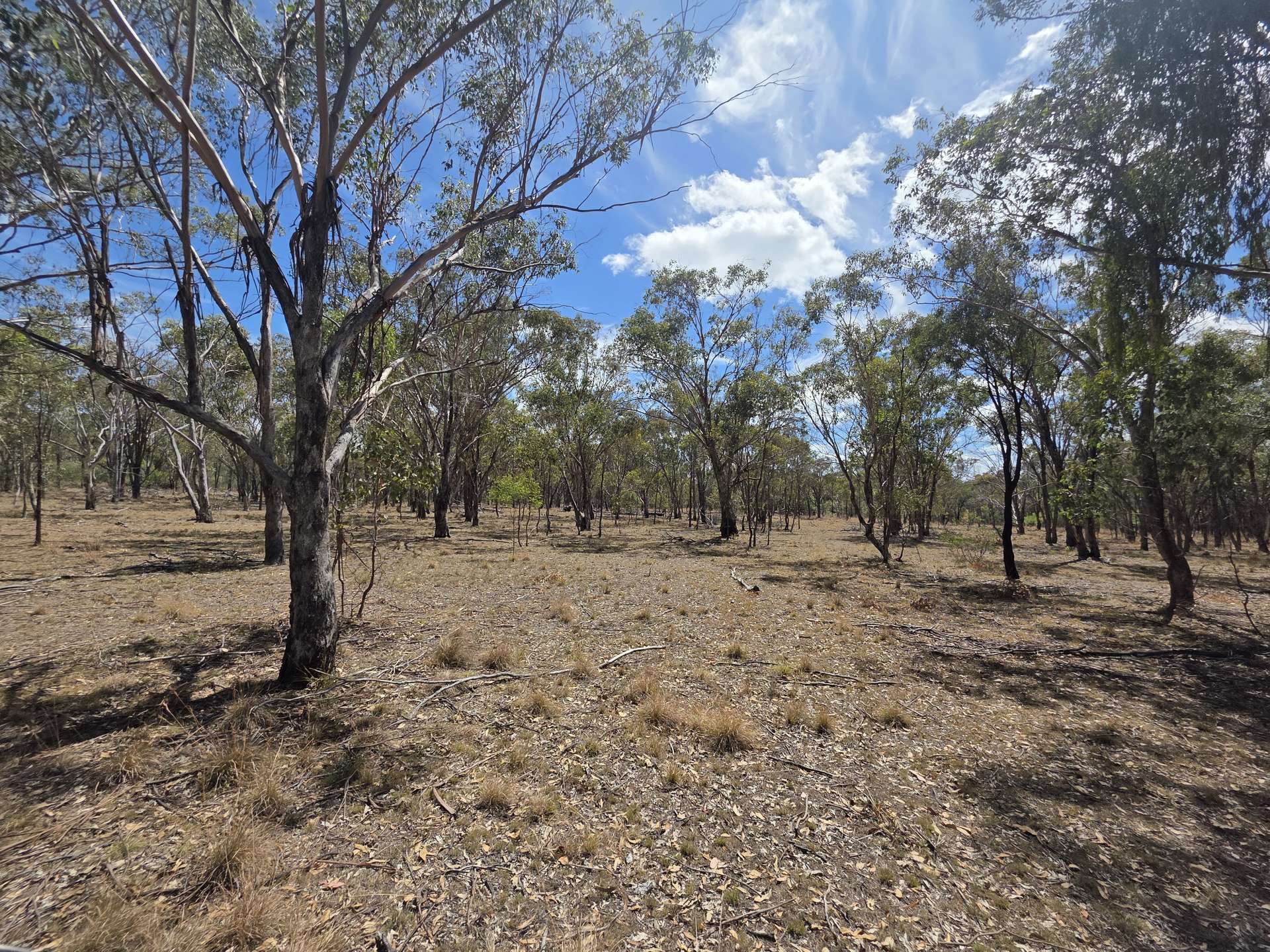 44 Foxbar Road, Pikedale For Sale by Farmbuy.com - image 1