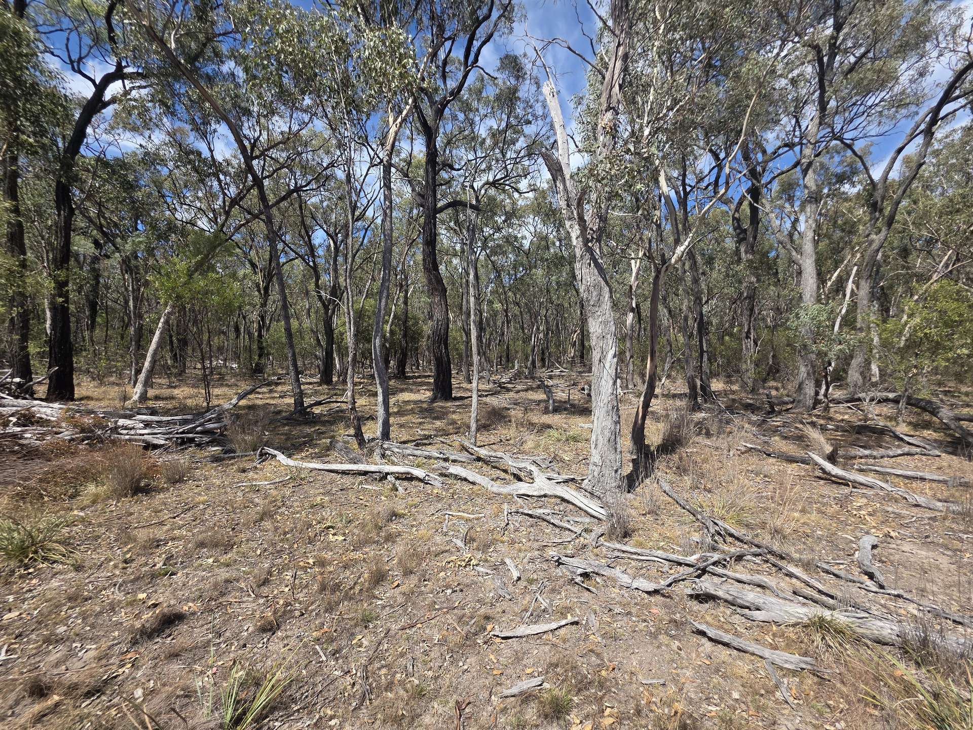 44 Foxbar Road, Pikedale For Sale by Farmbuy.com - image 6