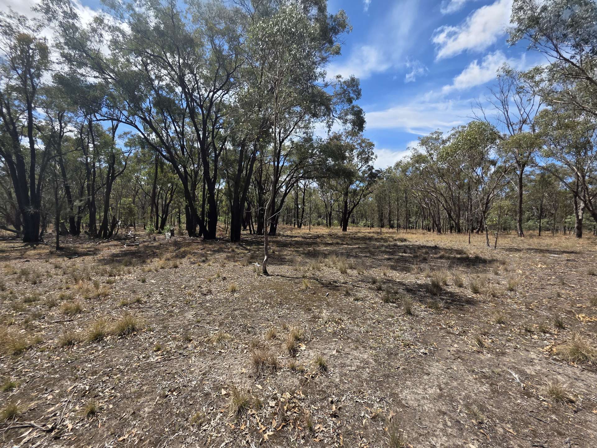 44 Foxbar Road, Pikedale For Sale by Farmbuy.com - image 13