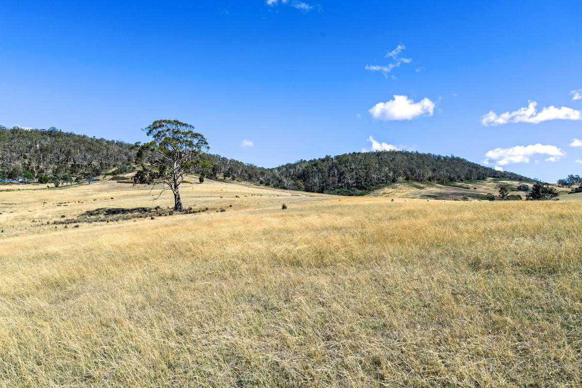 44 Huntingdon Tier Road, Dysart For Sale by Farmbuy.com - image 24